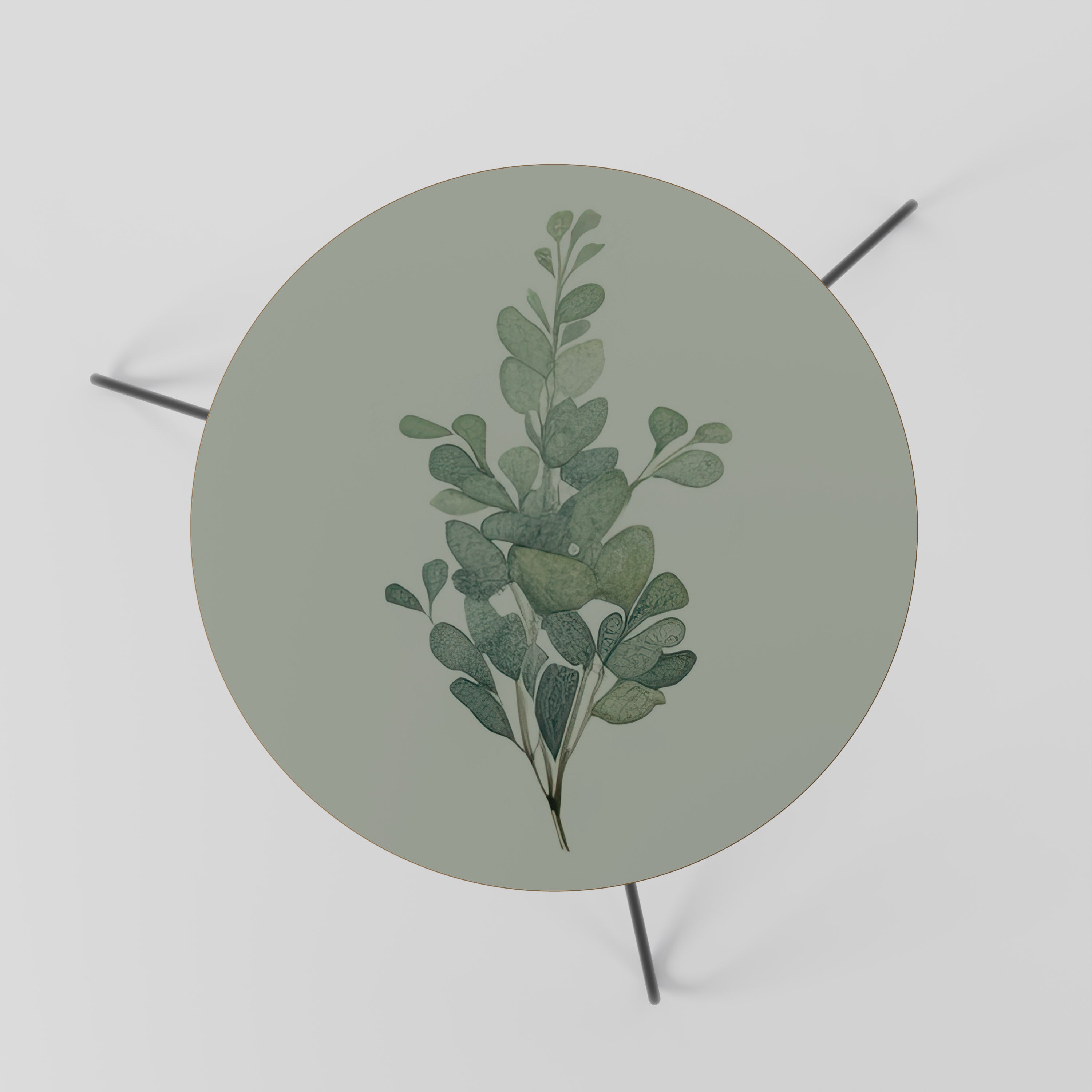 EUCALYPTUS TWIG Stolik kawowy mały