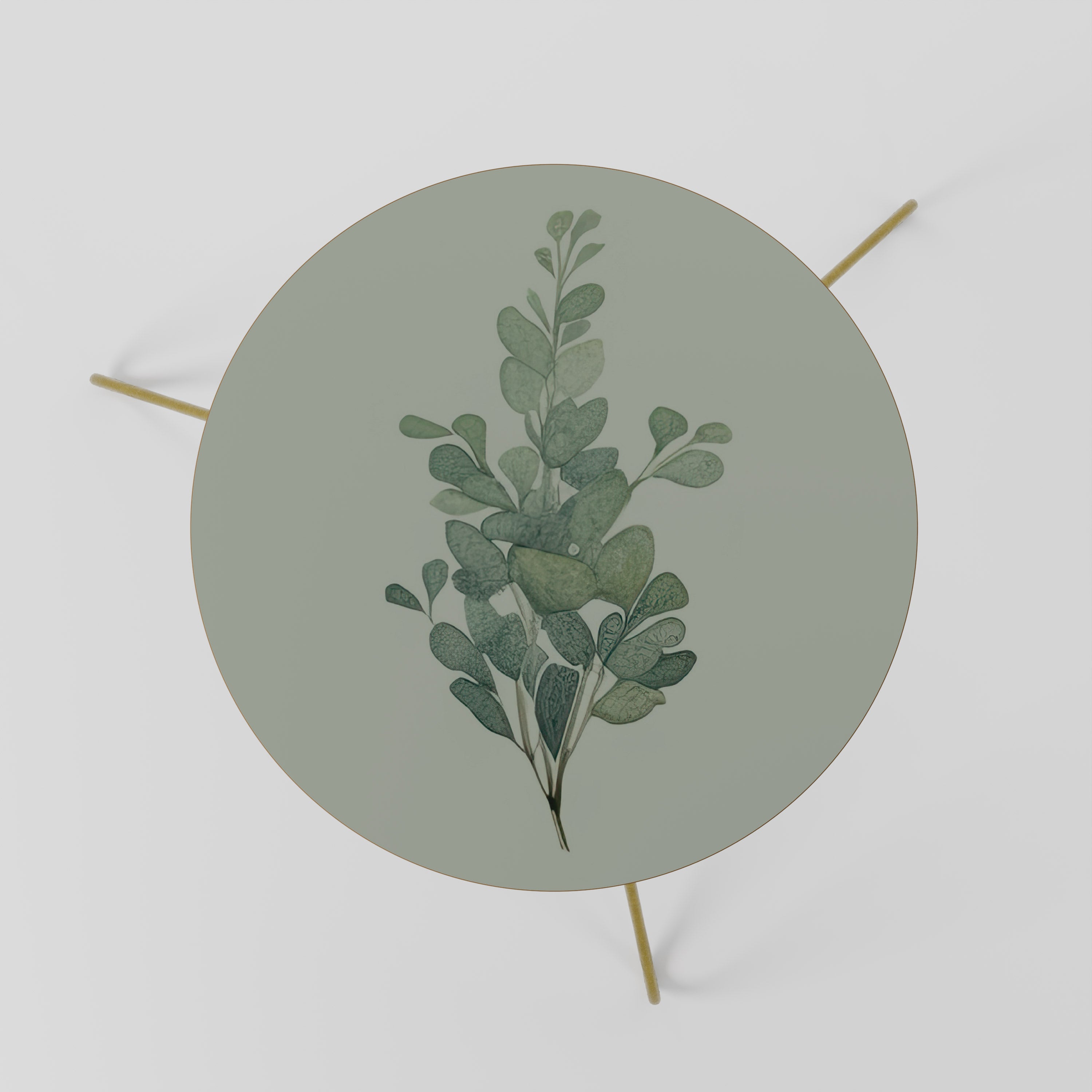 EUCALYPTUS TWIG Stolik kawowy mały