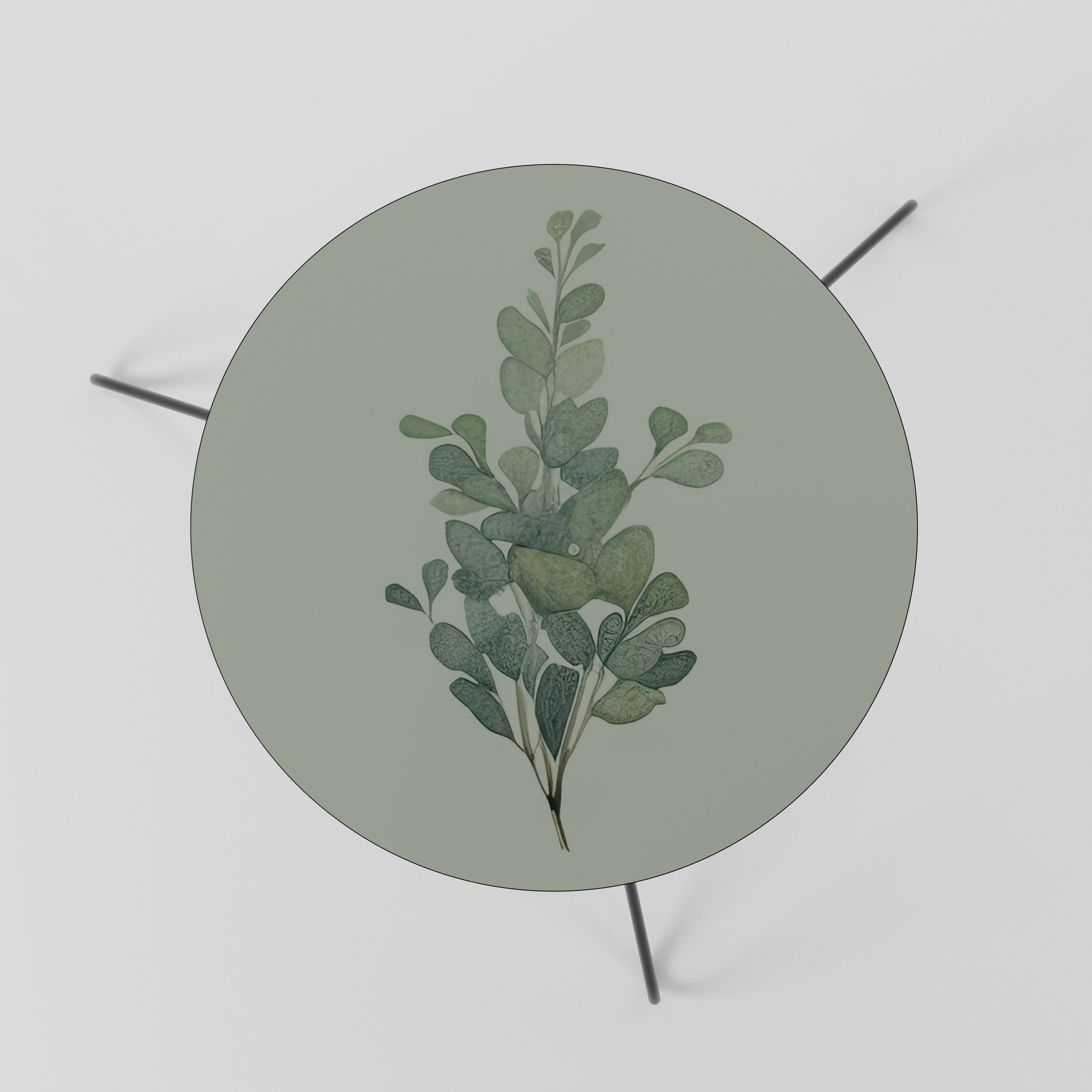 EUCALYPTUS TWIG Stolik kawowy mały