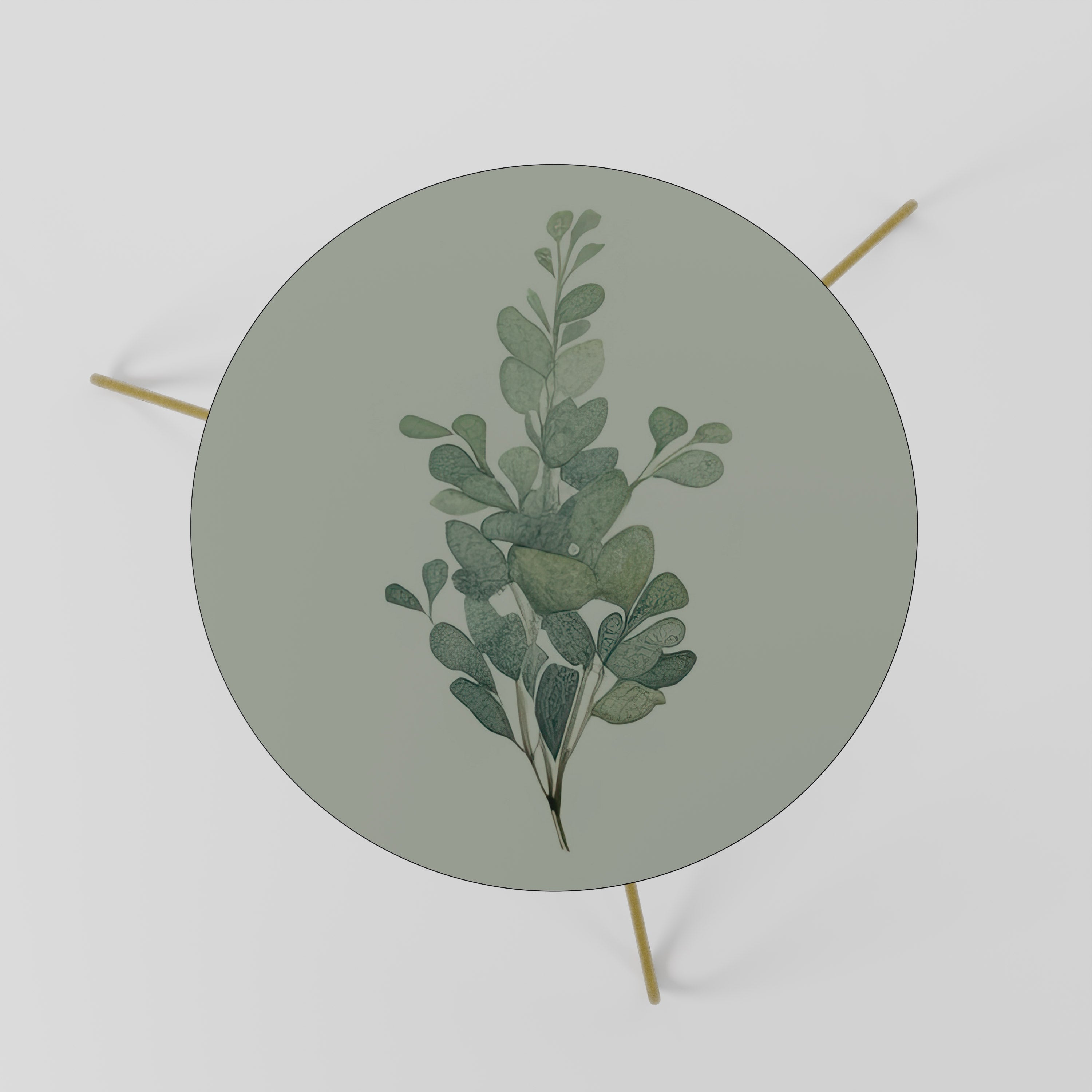 EUCALYPTUS TWIG Stolik kawowy mały