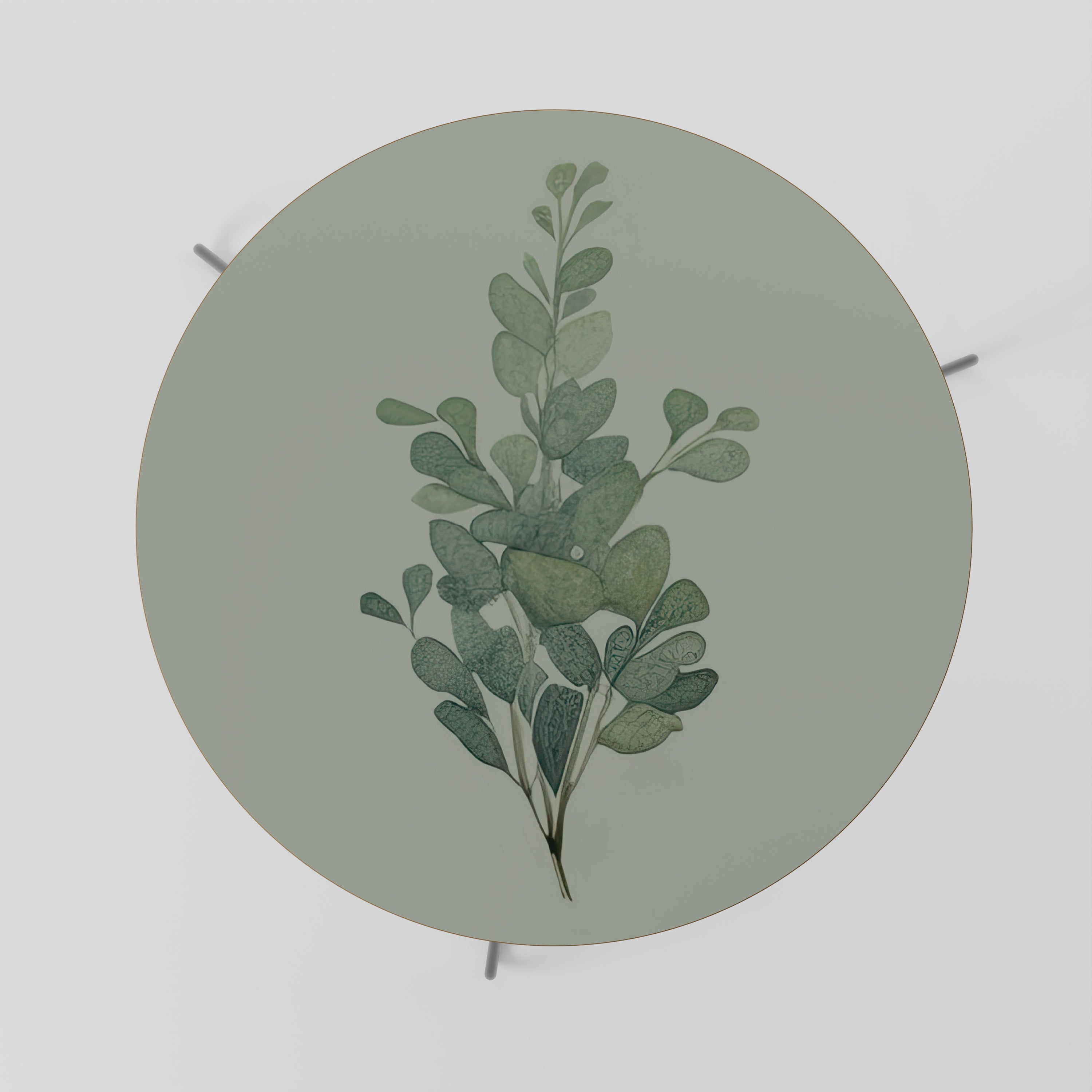 EUCALYPTUS TWIG Stolik kawowy duży