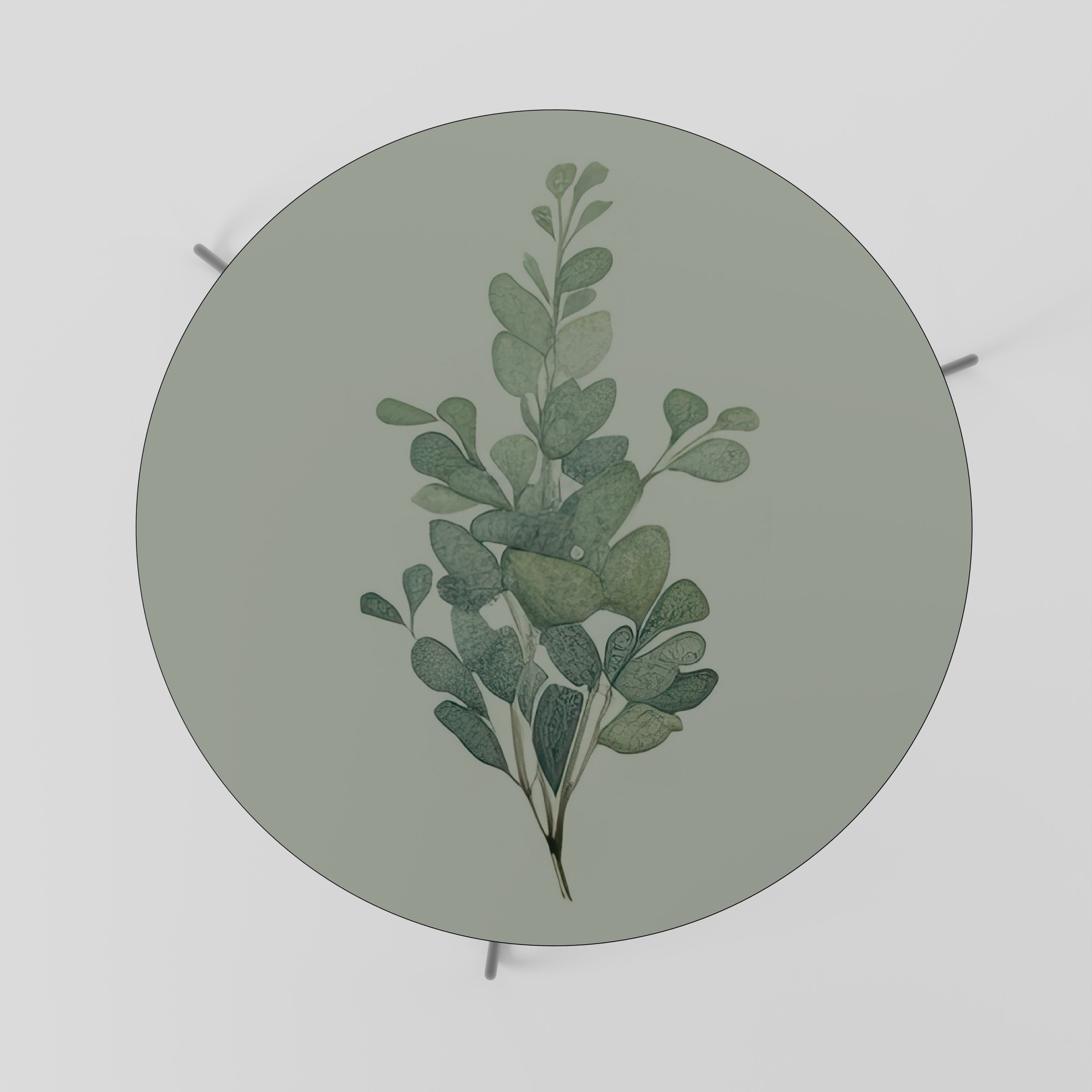 EUCALYPTUS TWIG Stolik kawowy duży