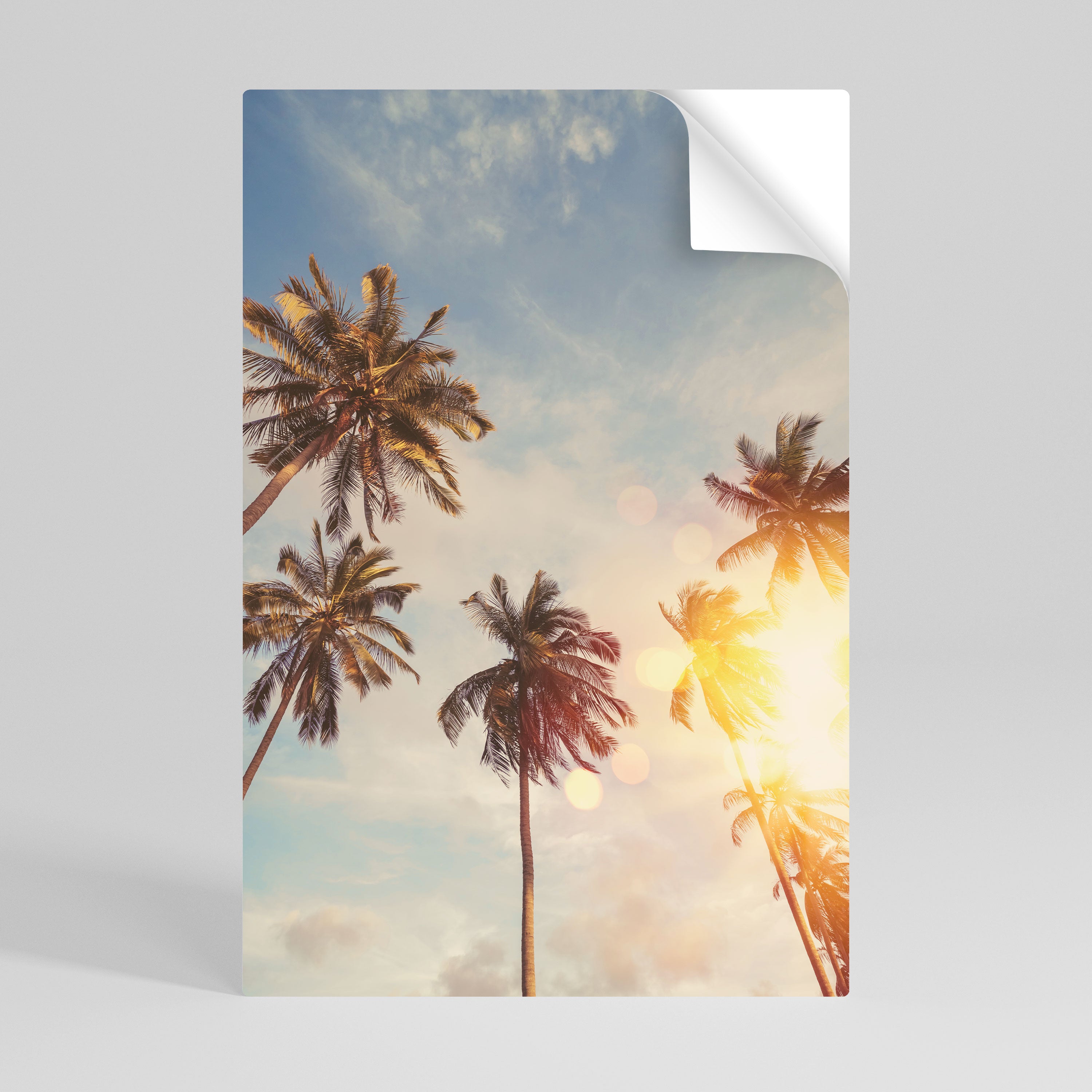 WHISPERING PALM LEAVES Naklejka/Plakat pionowy