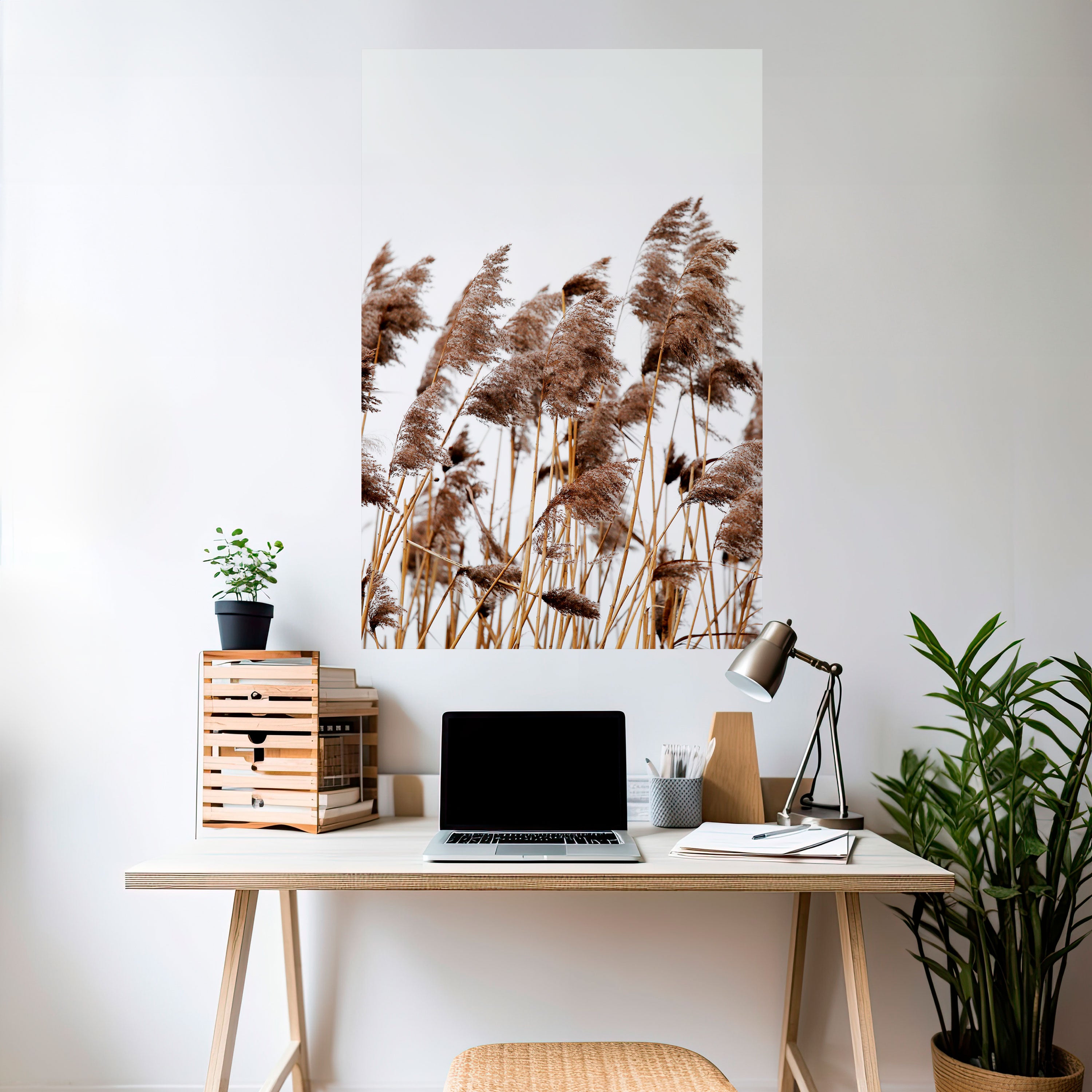 DANCE OF REEDS Naklejka/Plakat pionowy