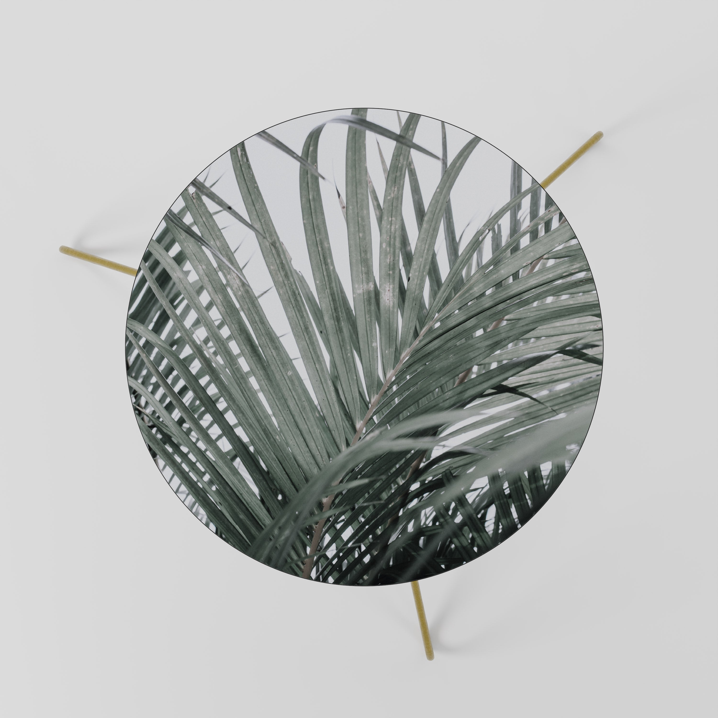 PALM WHISPERS Stolik kawowy mały