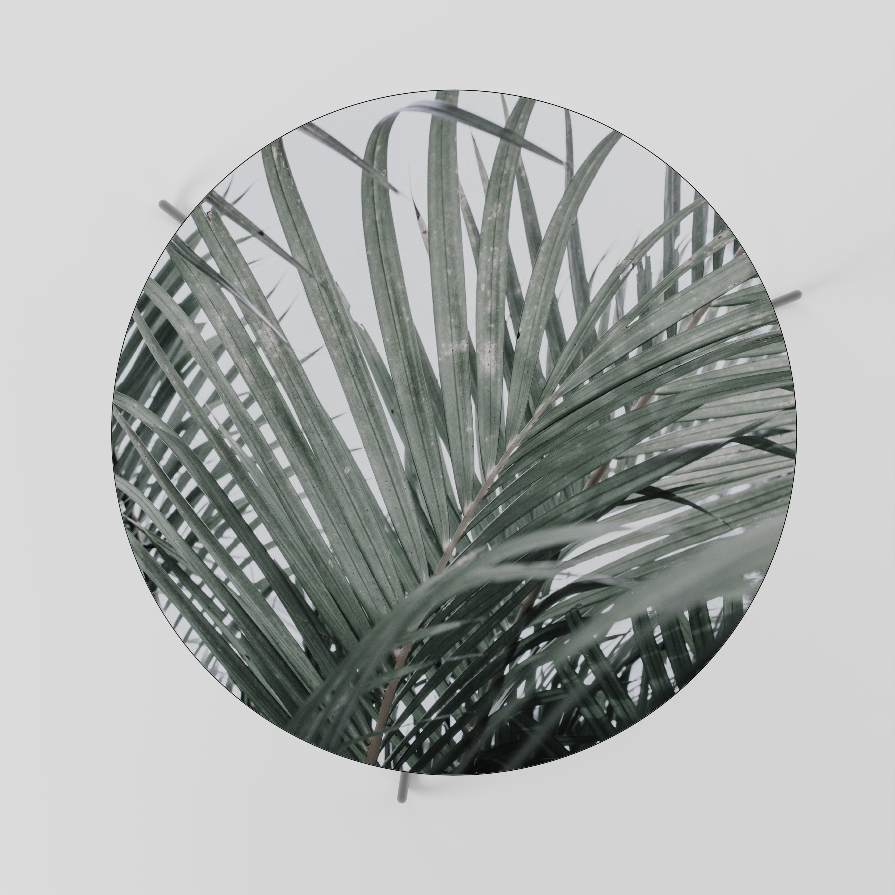 PALM WHISPERS Stolik kawowy duży