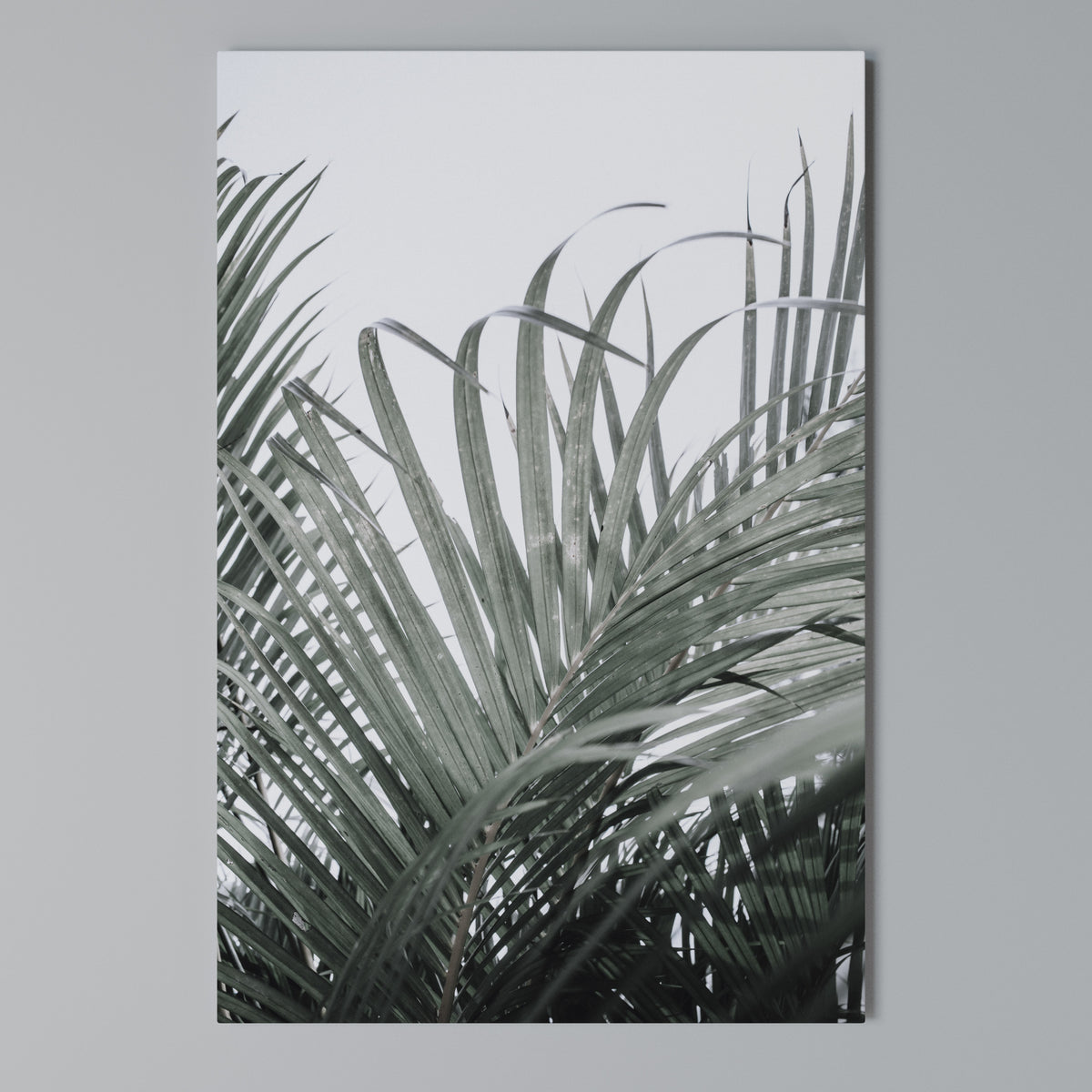 PALM WHISPERS Pionowy obraz na płótnie