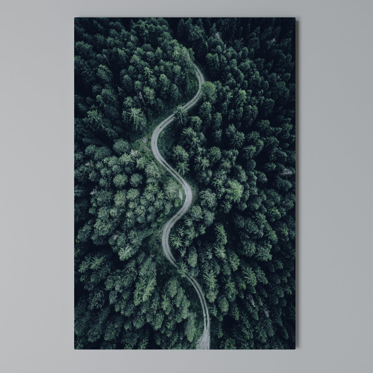 FORESTED SERPENTINE ROUTE Pionowy obraz na płótnie