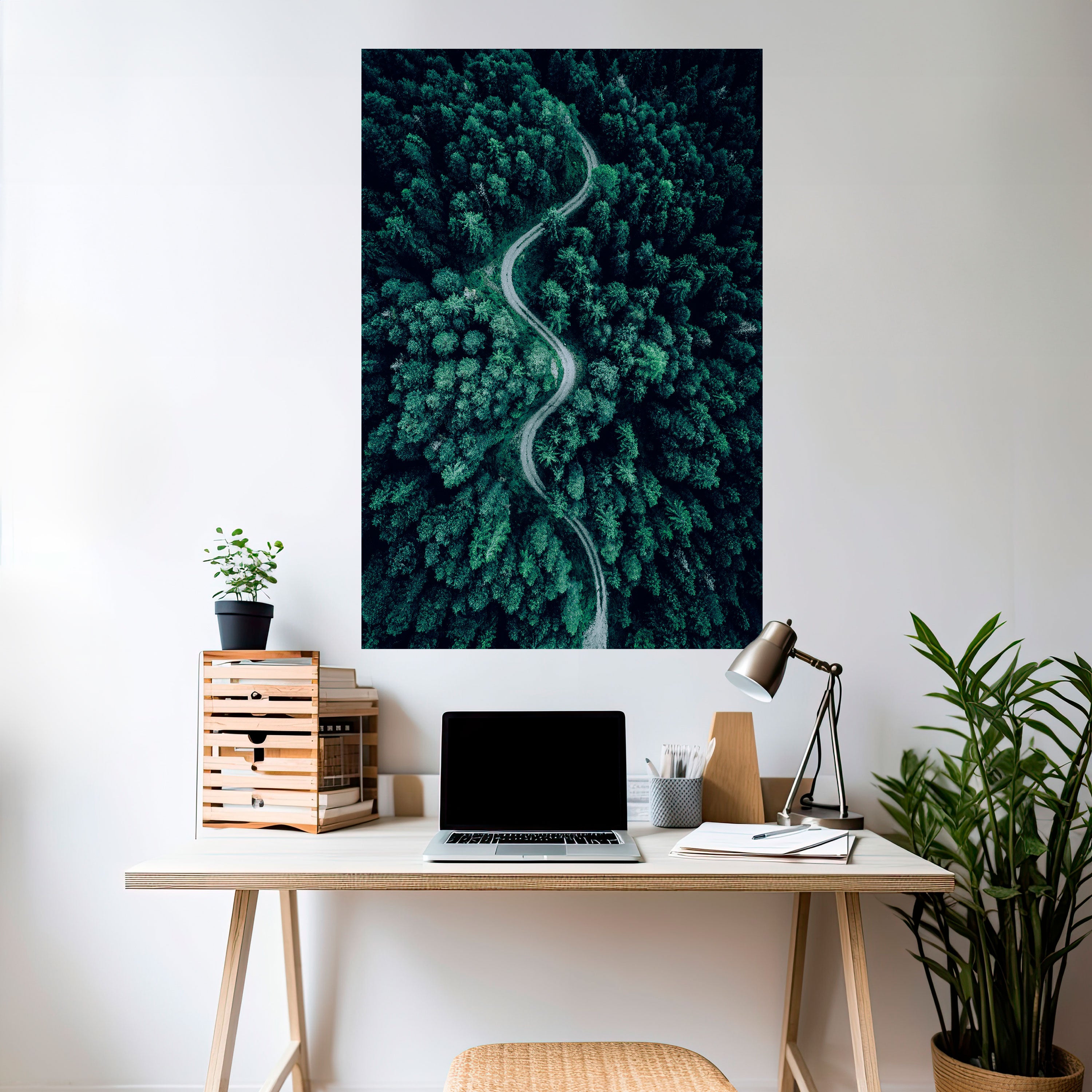 FORESTED SERPENTINE ROUTE Naklejka/Plakat pionowy