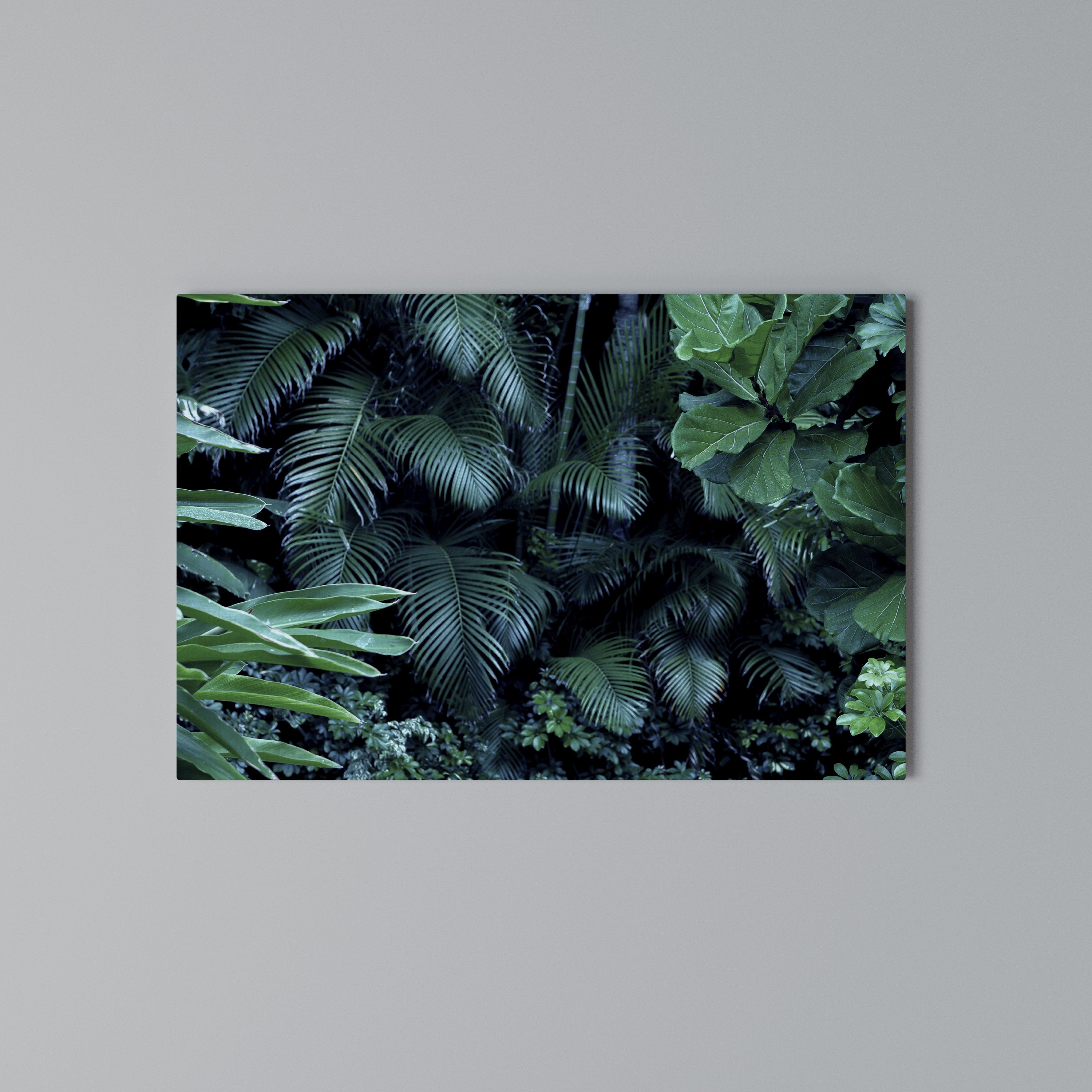 DEEP JUNGLE SERENADE Poziomy obraz na płótnie