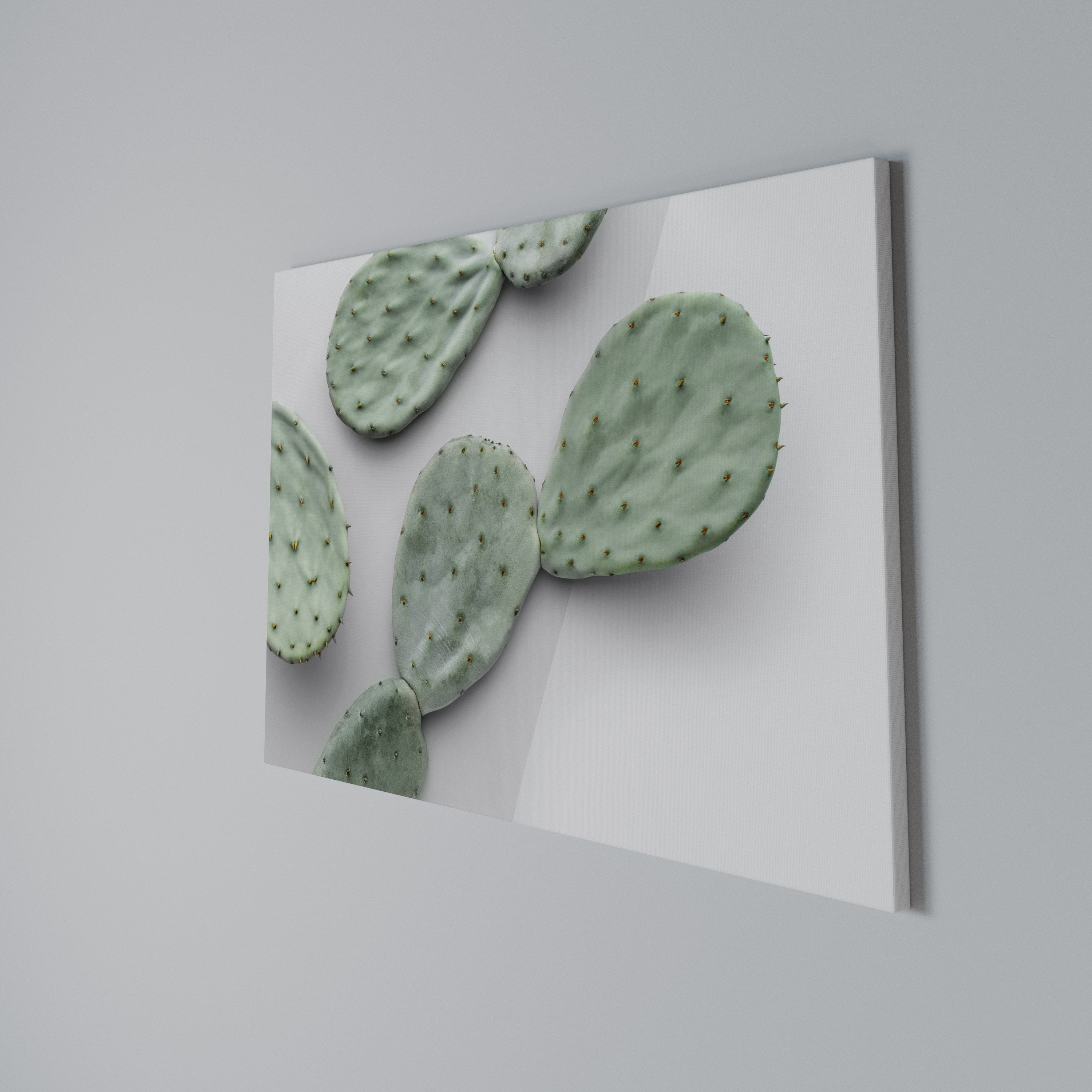 CACTUS DREAMSCAPE Poziomy obraz na płótnie