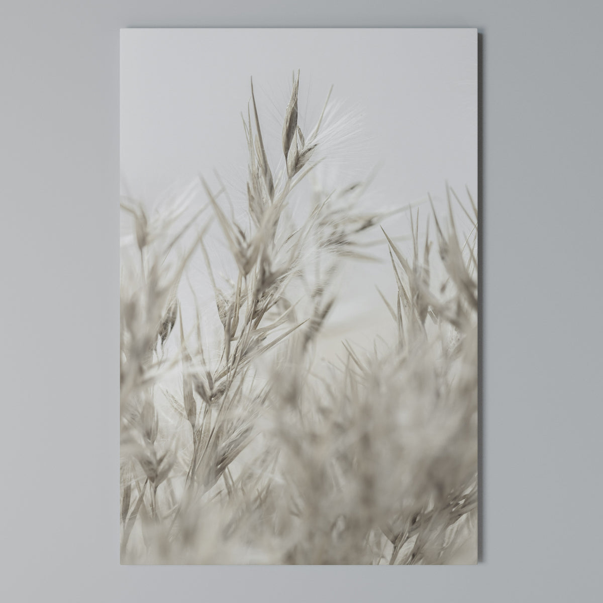 TRANQUIL GRASSES Pionowy obraz na płótnie