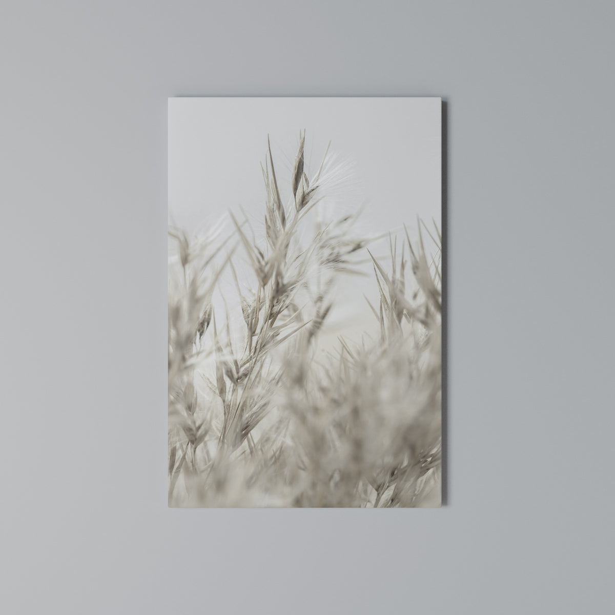 TRANQUIL GRASSES Pionowy obraz na płótnie