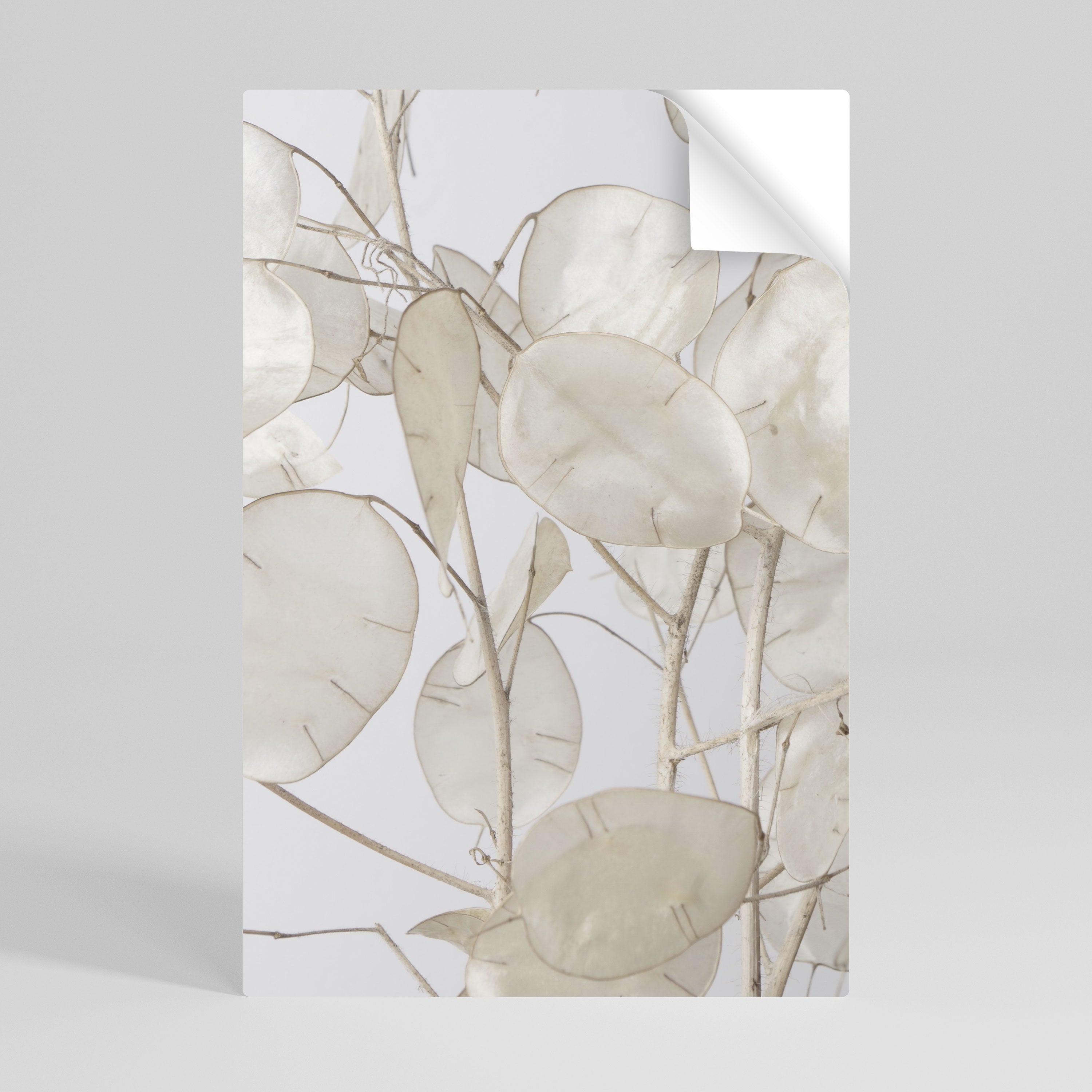 SILKY FOLIAGE WHISPERS Naklejka/Plakat pionowy