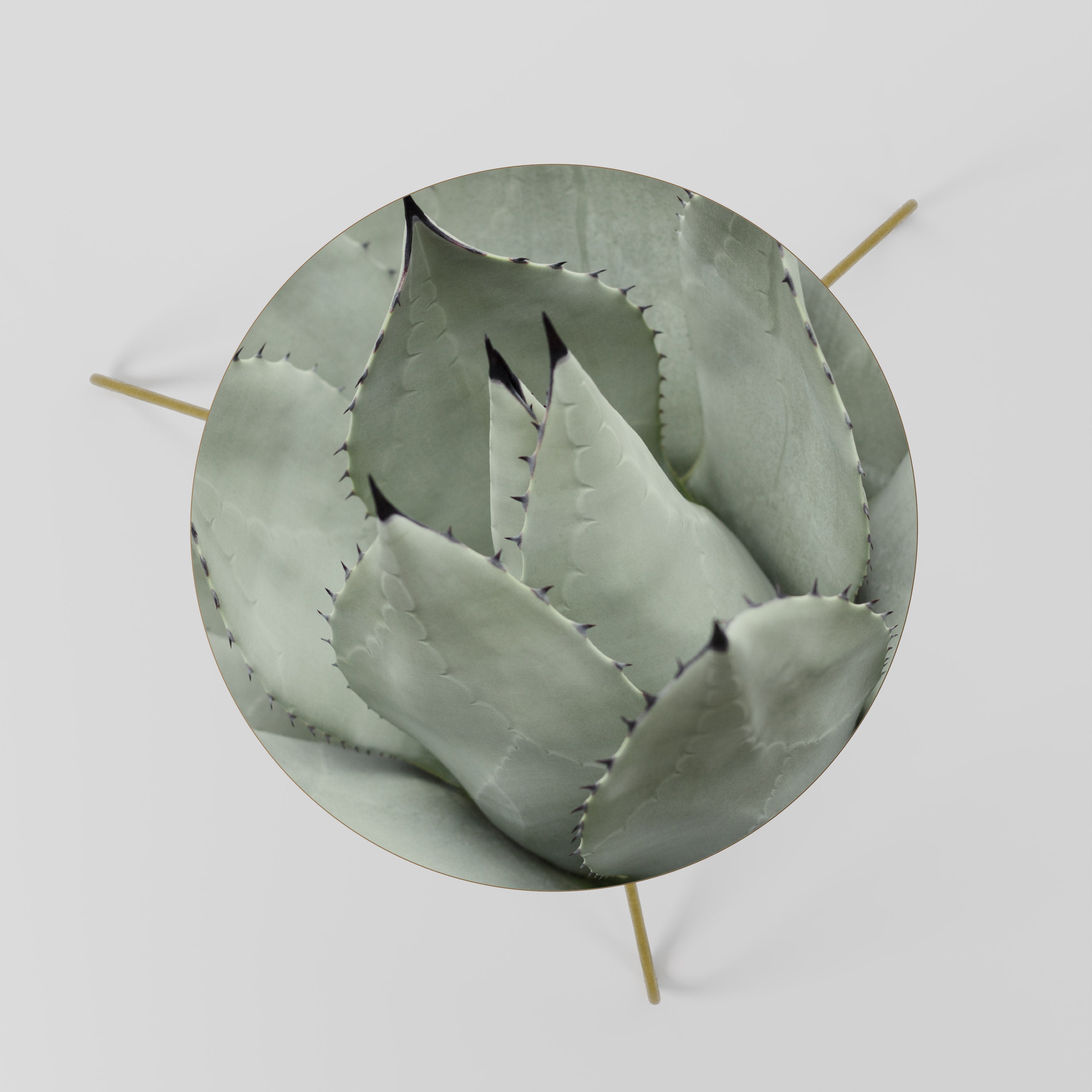 MYSTICAL SUCCULENT DREAM Stolik kawowy mały