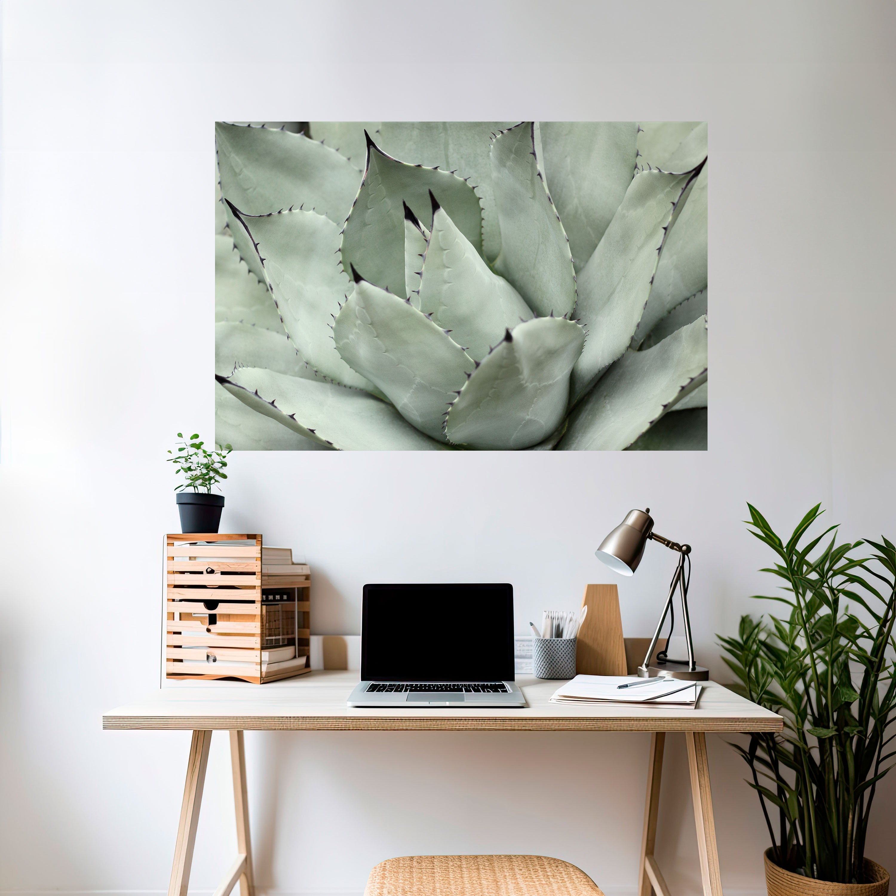 MYSTICAL SUCCULENT DREAM Naklejka/Plakat poziomy