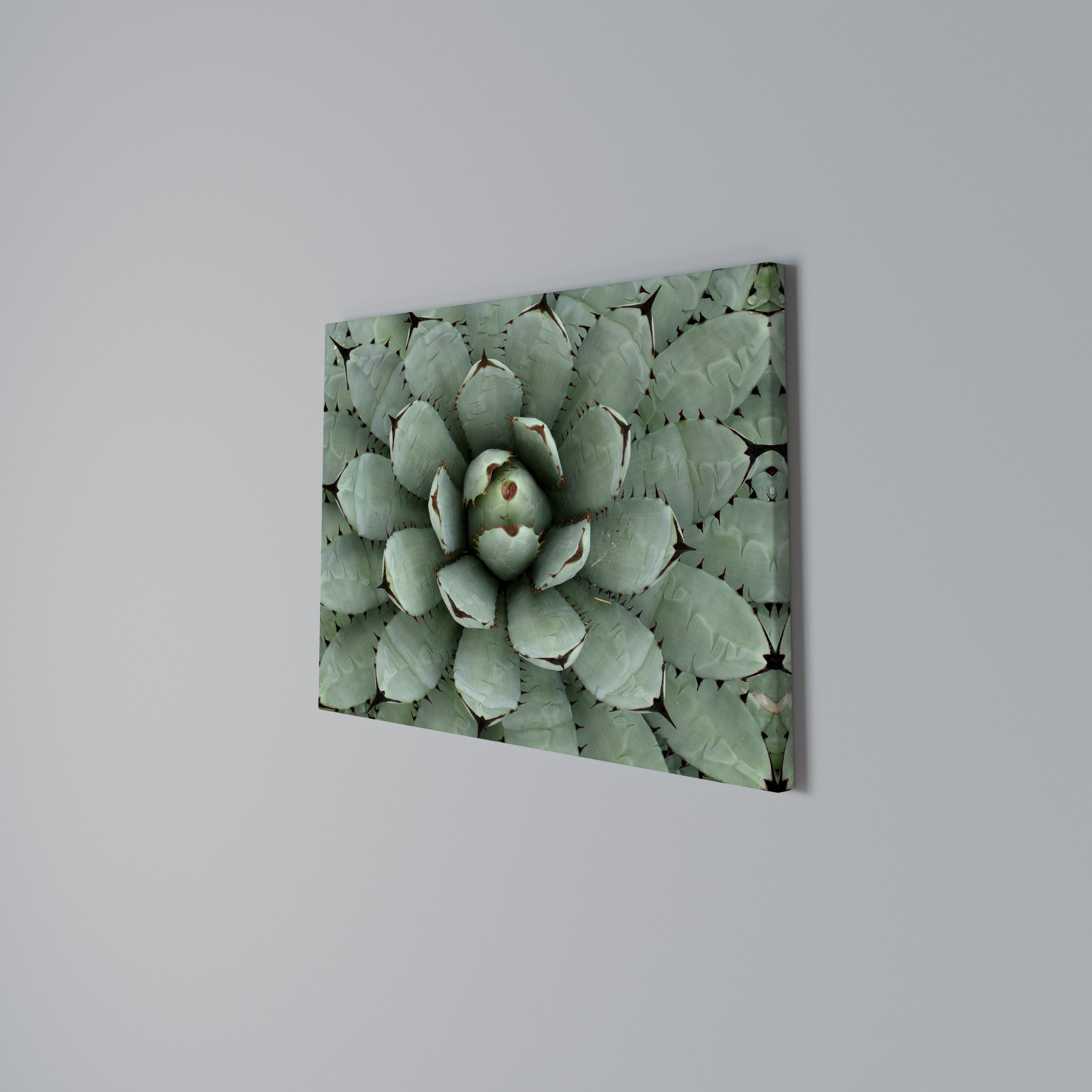 SUCCULENT SYMMETRY Poziomy obraz na płótnie