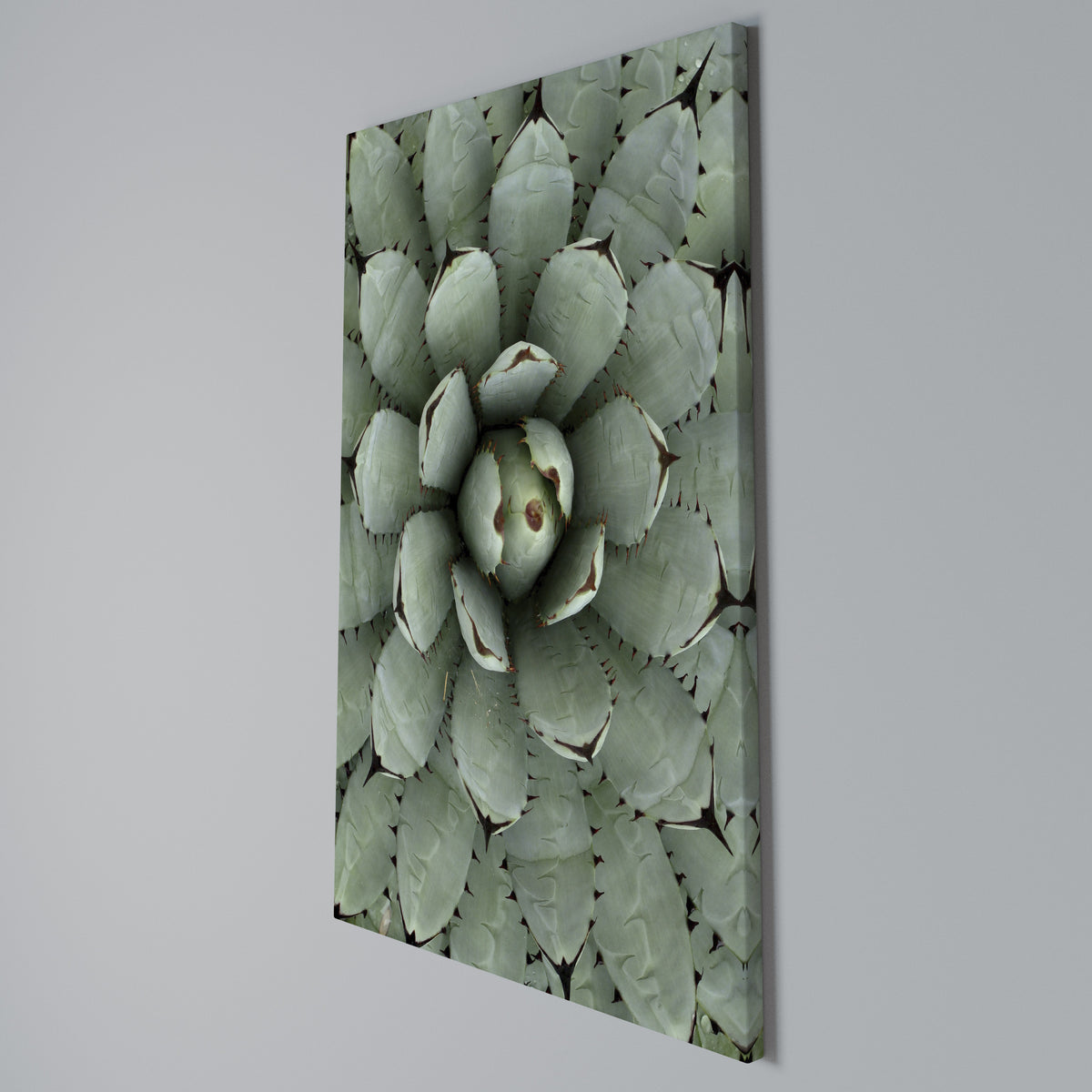 SUCCULENT SYMMETRY Pionowy obraz na płótnie