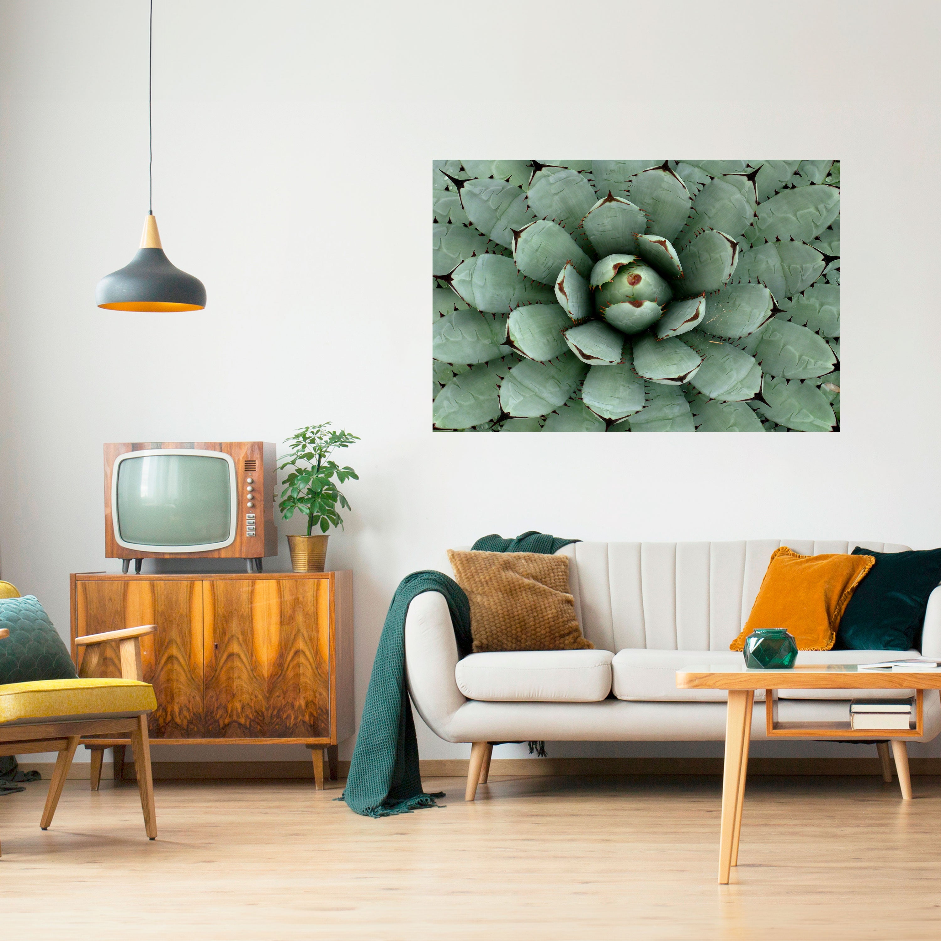 SUCCULENT SYMMETRY Naklejka/Plakat poziomy