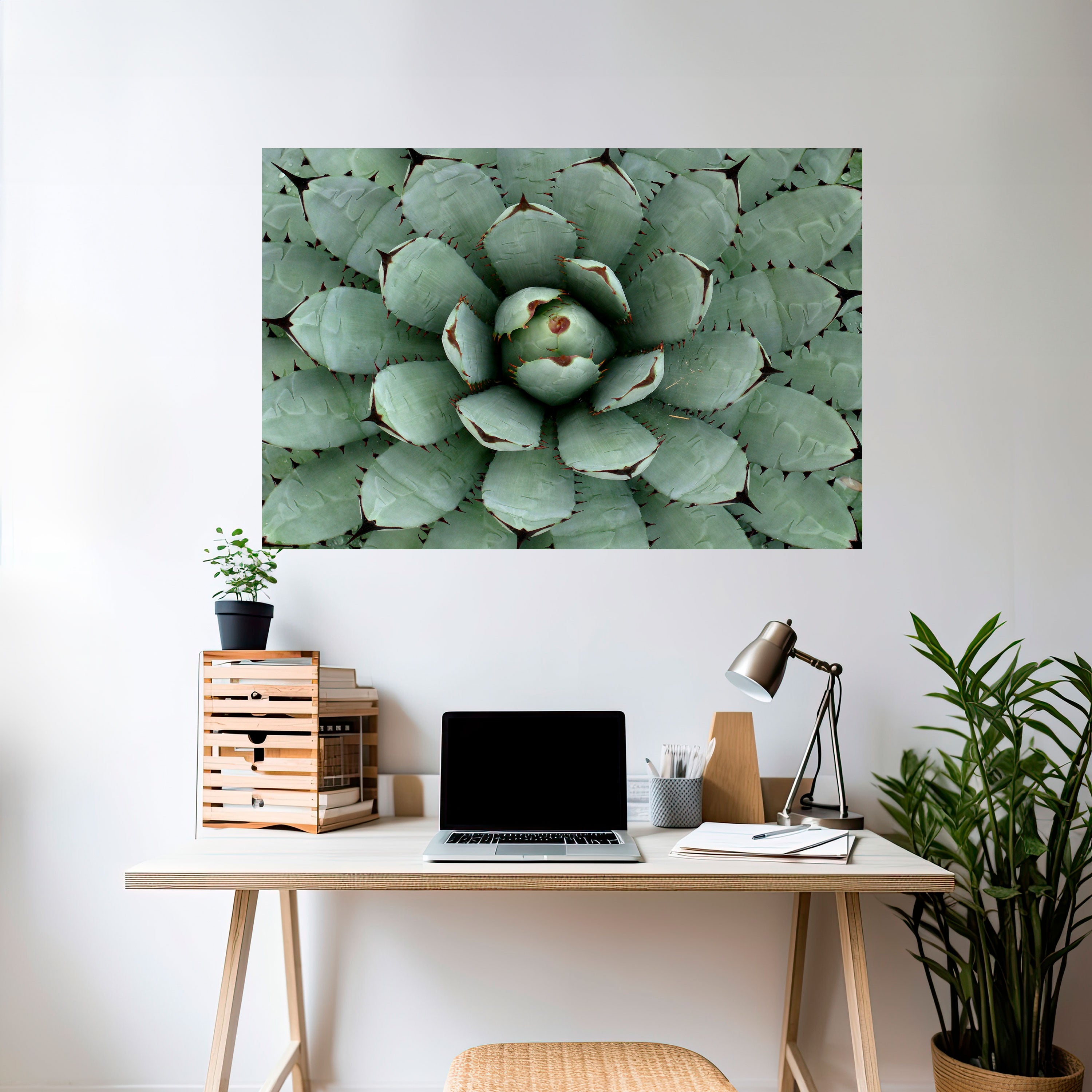 SUCCULENT SYMMETRY Naklejka/Plakat poziomy
