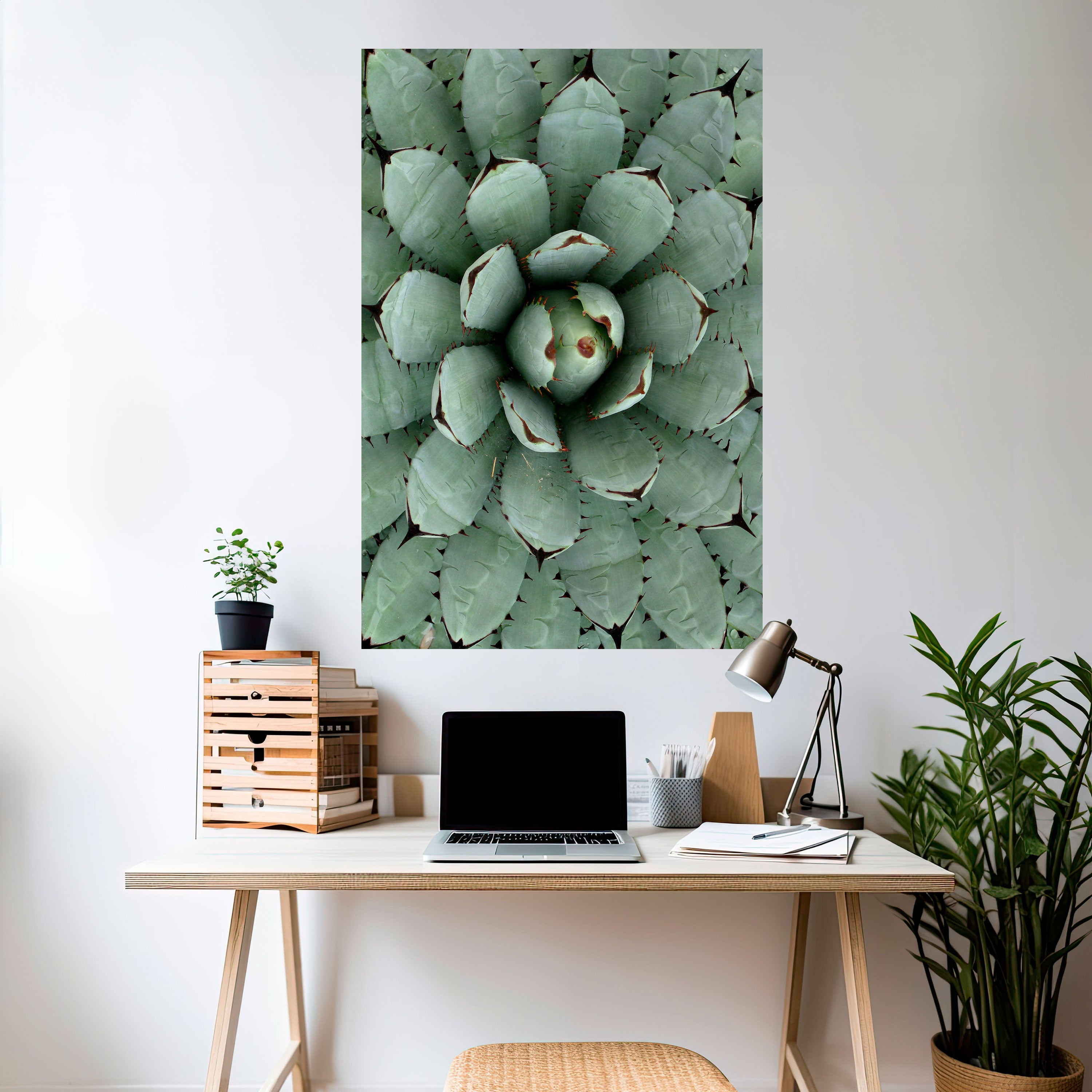 SUCCULENT SYMMETRY Naklejka/Plakat pionowy