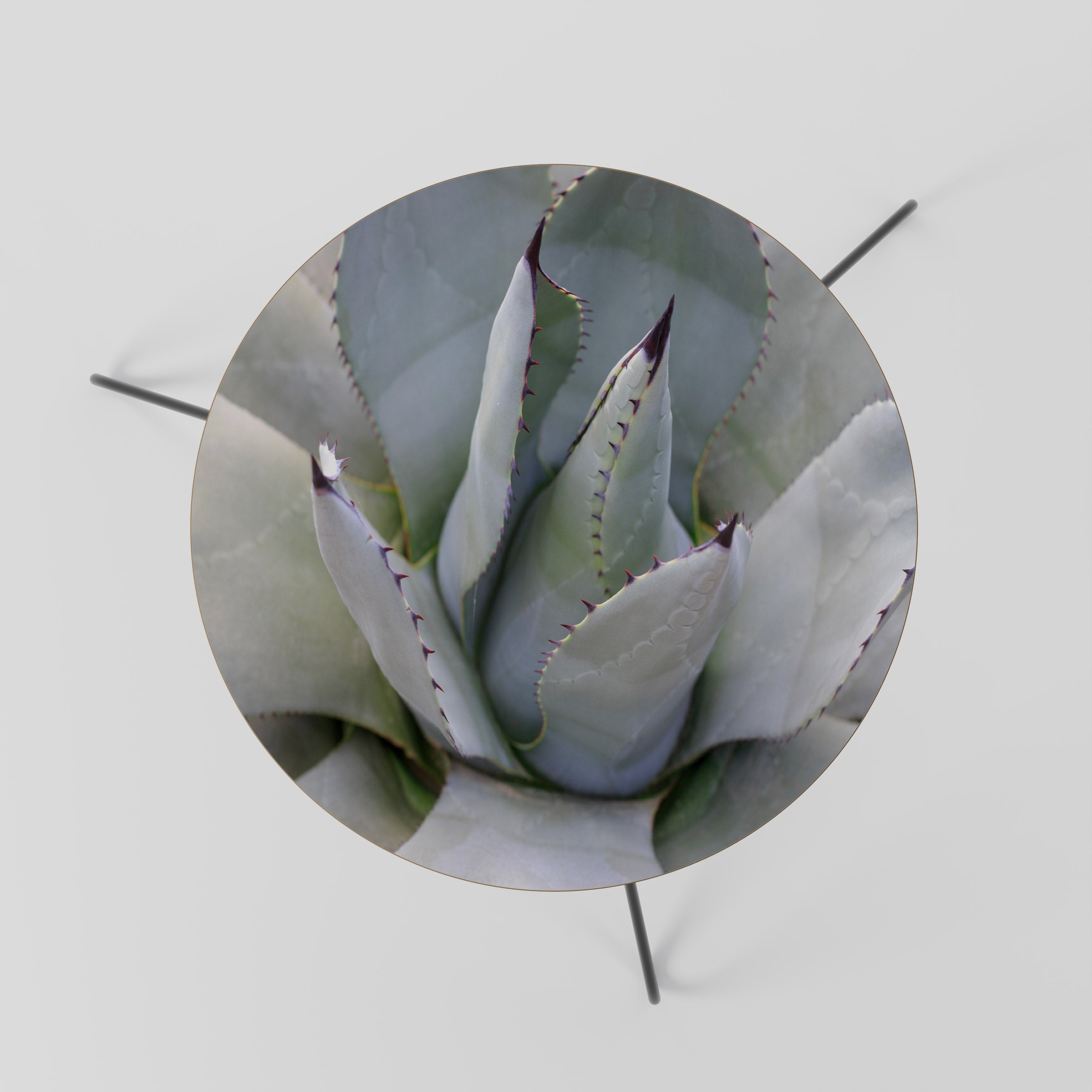 AGAVE ELEGANCE Stolik kawowy mały