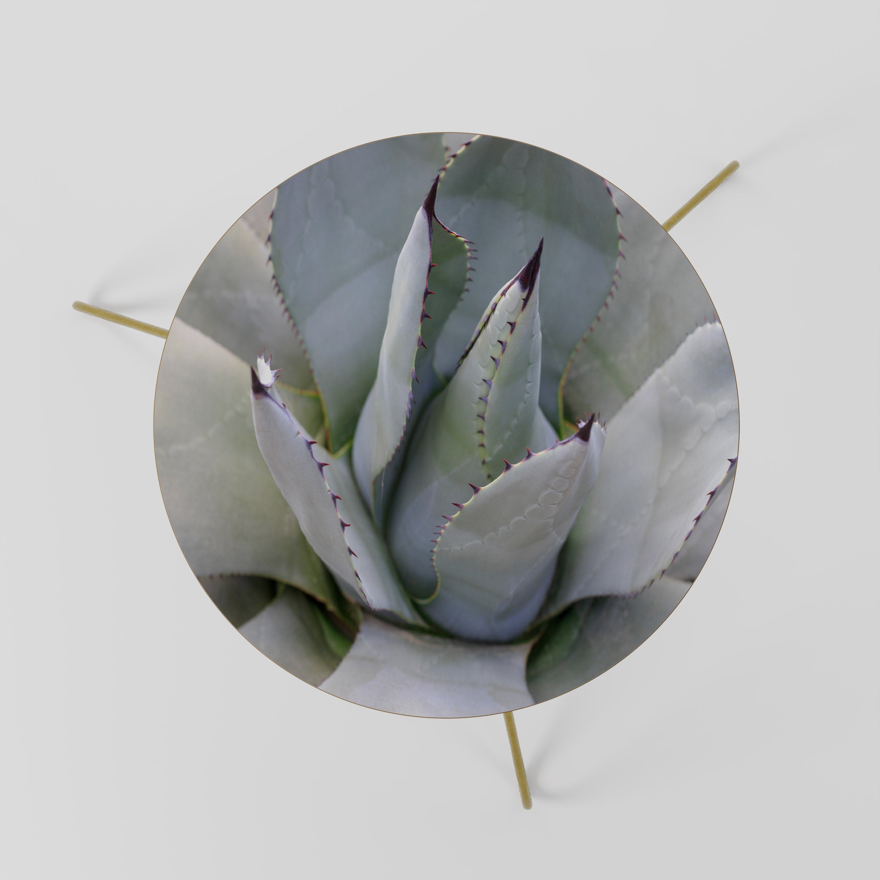AGAVE ELEGANCE Stolik kawowy mały