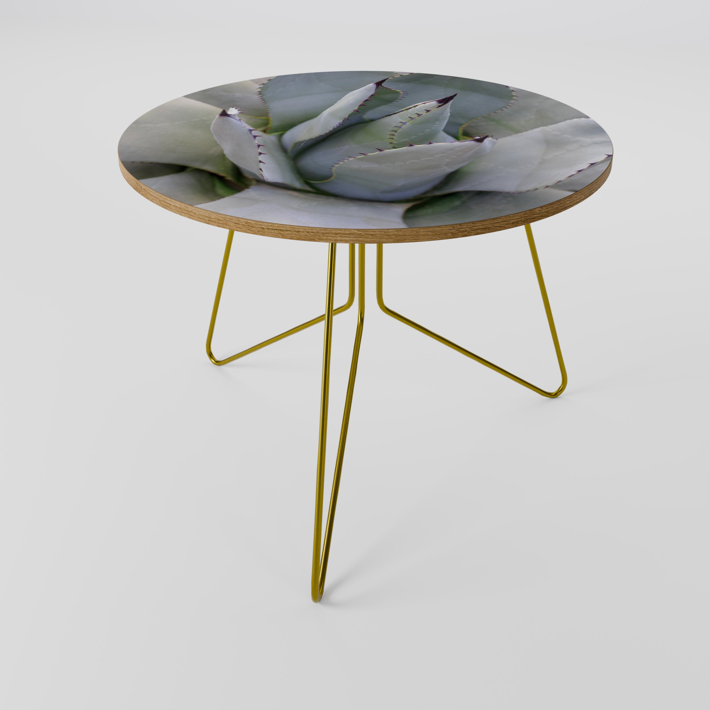 AGAVE ELEGANCE Stolik kawowy duży
