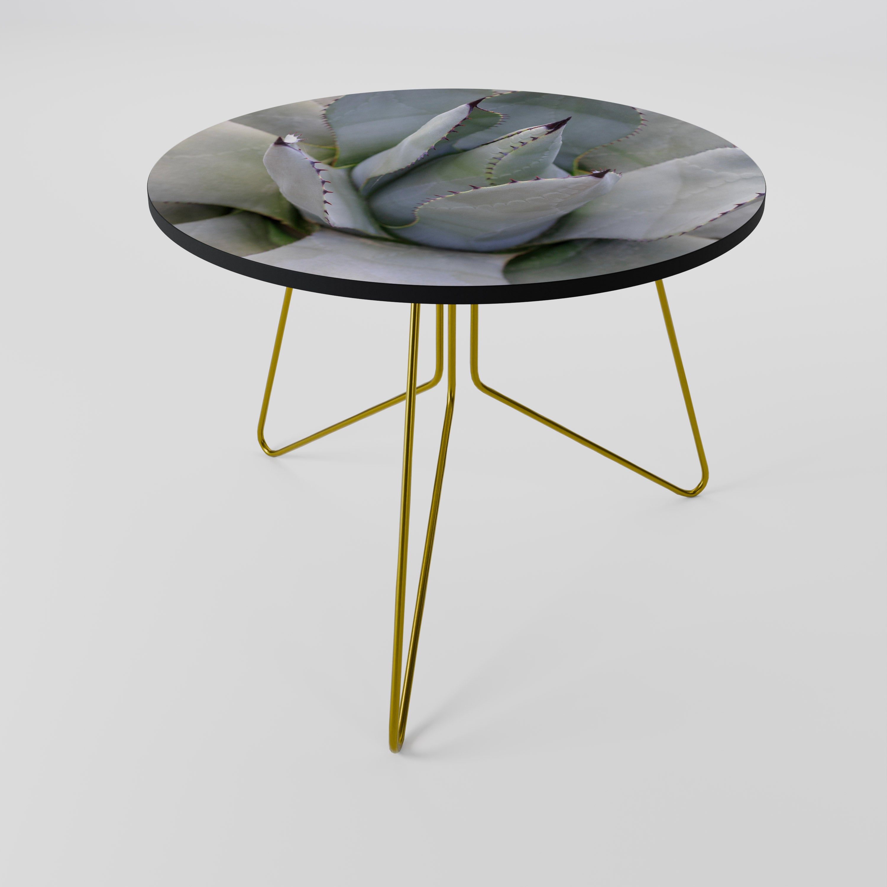 AGAVE ELEGANCE Stolik kawowy duży