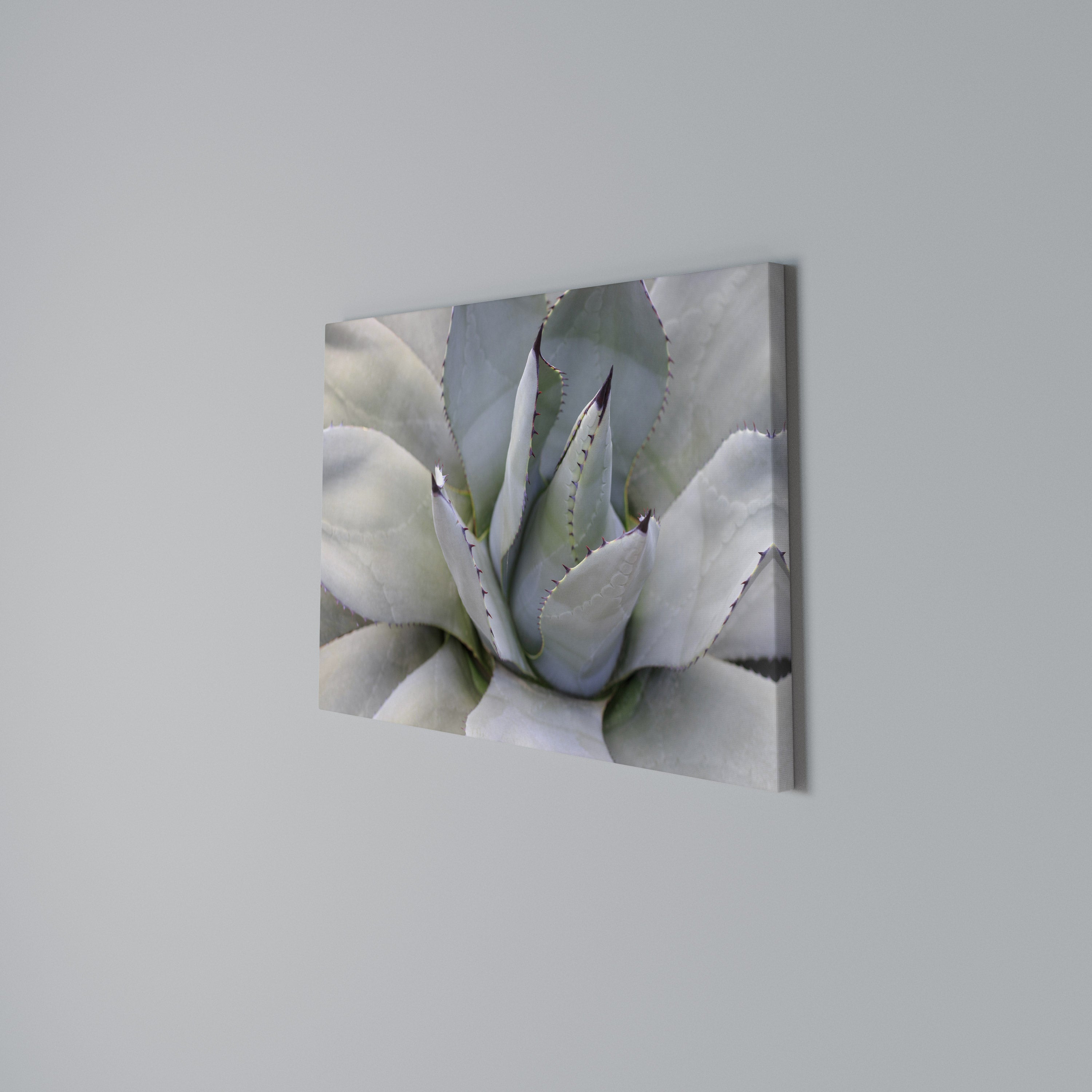 AGAVE ELEGANCE Poziomy obraz na płótnie
