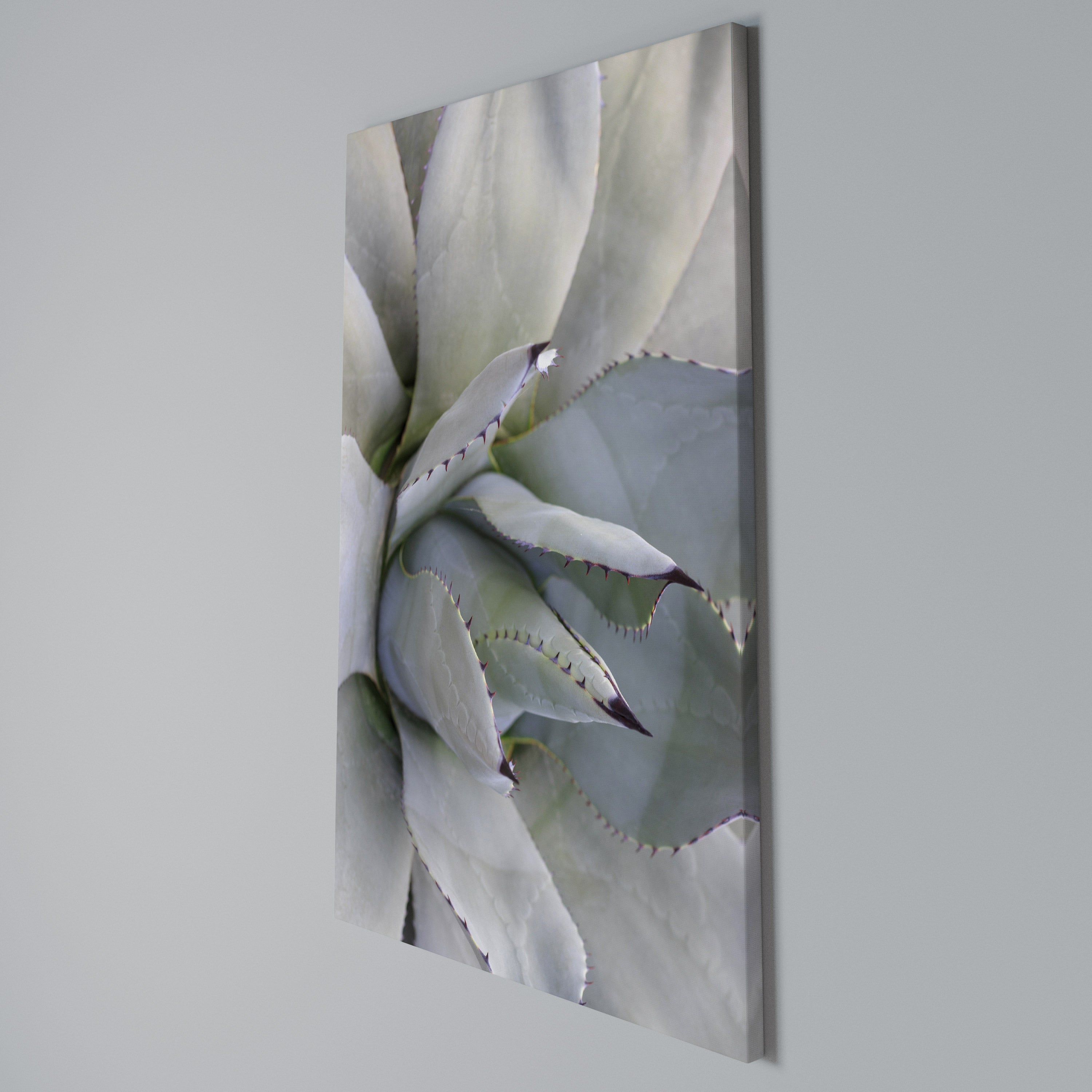 AGAVE ELEGANCE Pionowy obraz na płótnie