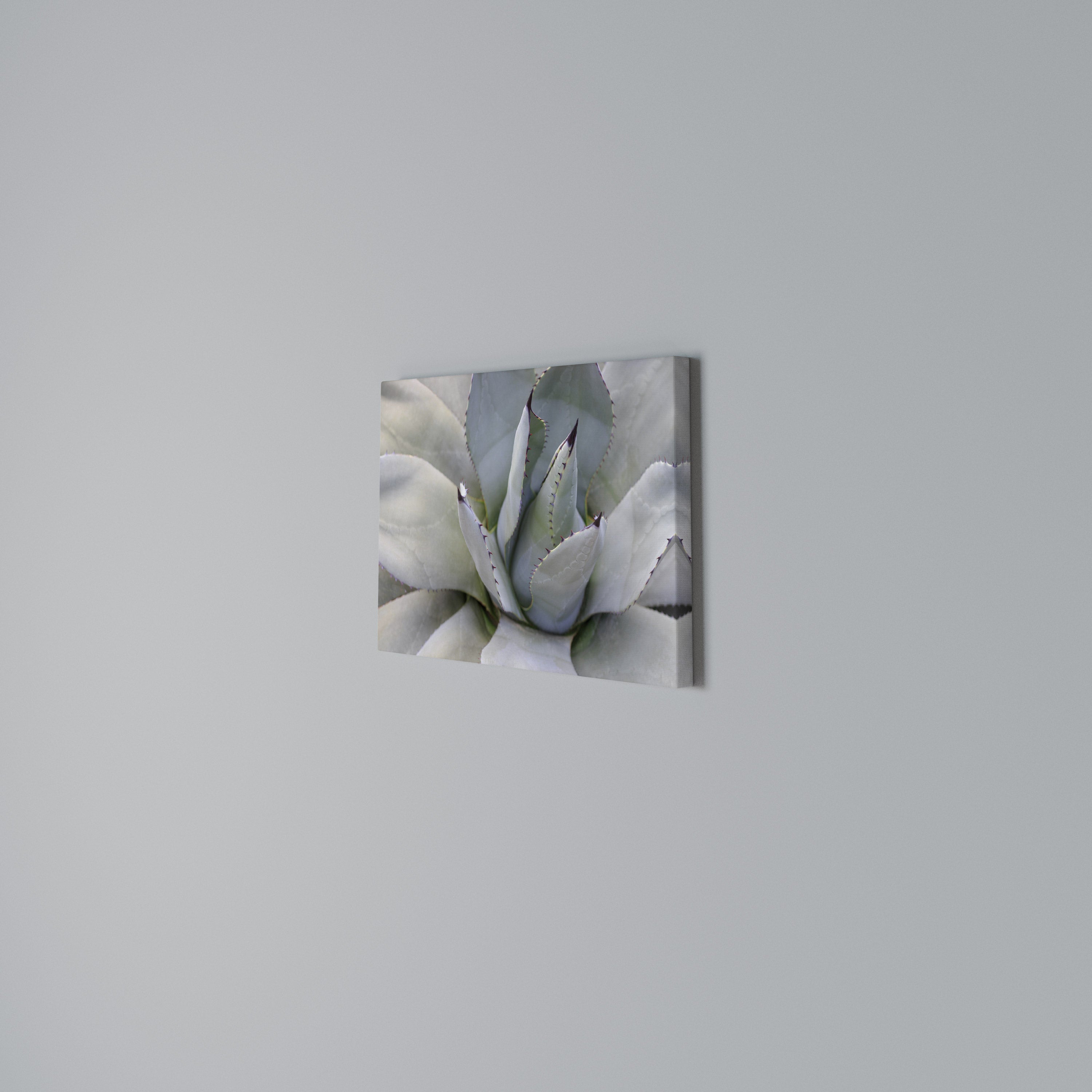 AGAVE ELEGANCE Poziomy obraz na płótnie