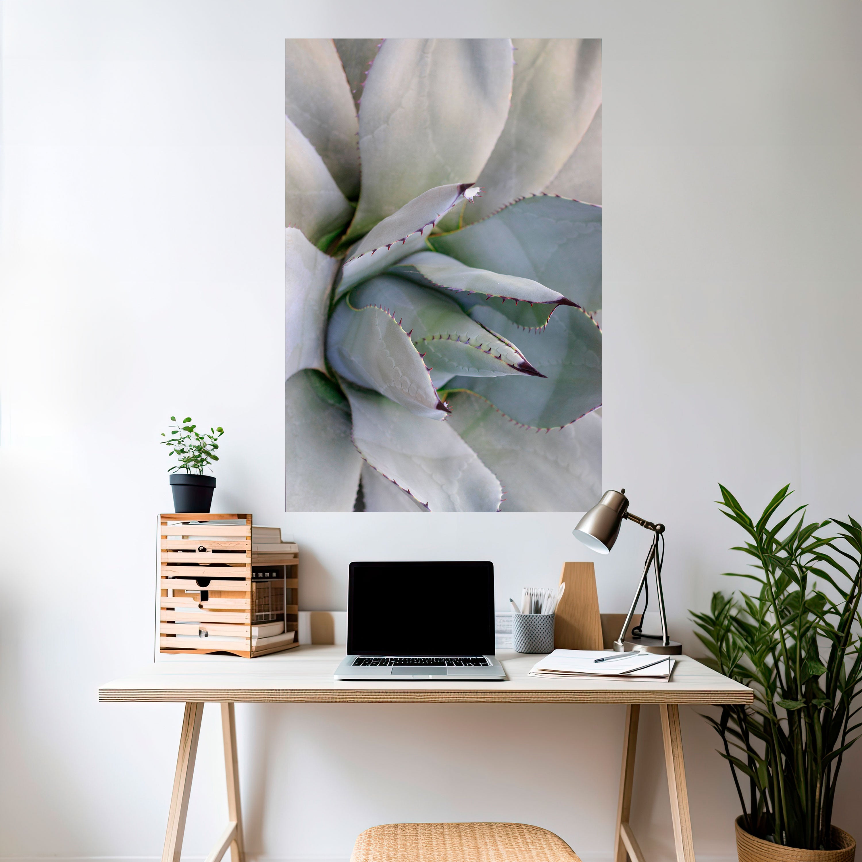 AGAVE ELEGANCE Naklejka/Plakat pionowy