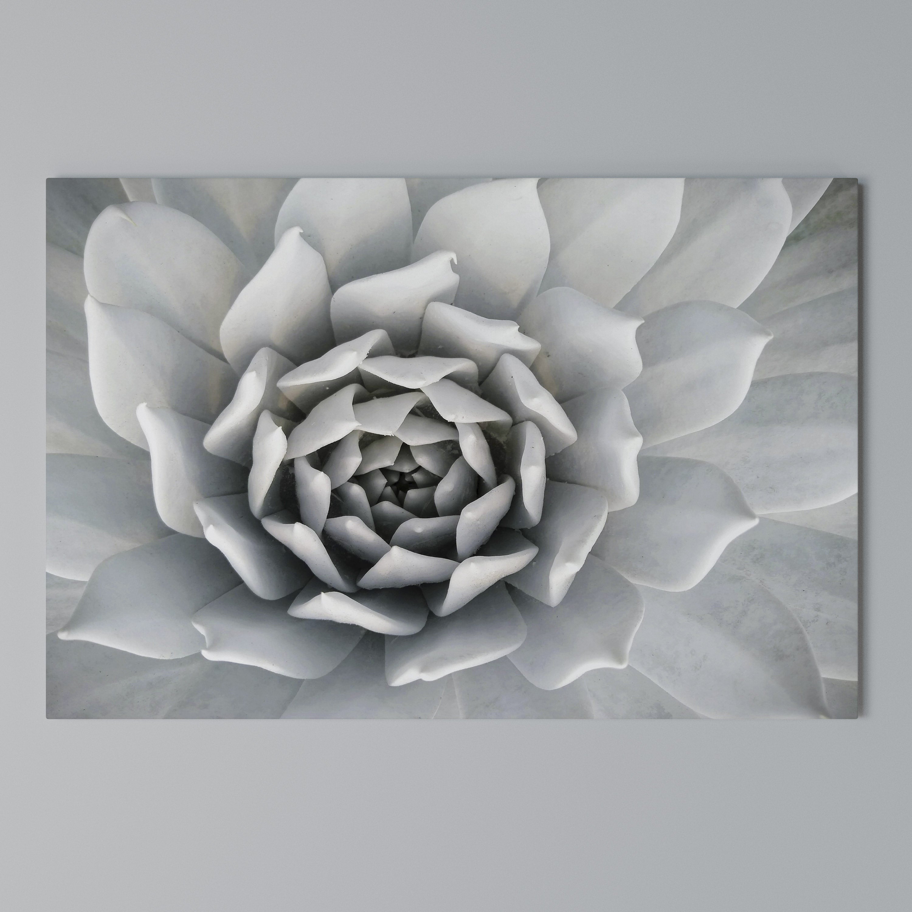 ELEGANT PETAL SWIRL Poziomy obraz na płótnie