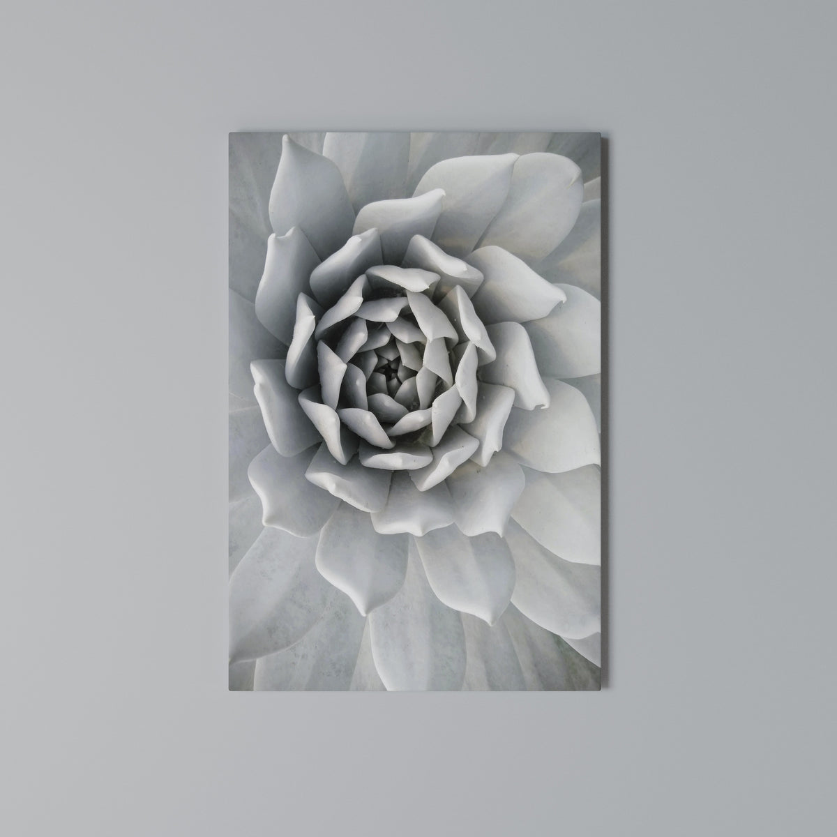 ELEGANT PETAL SWIRL Pionowy obraz na płótnie