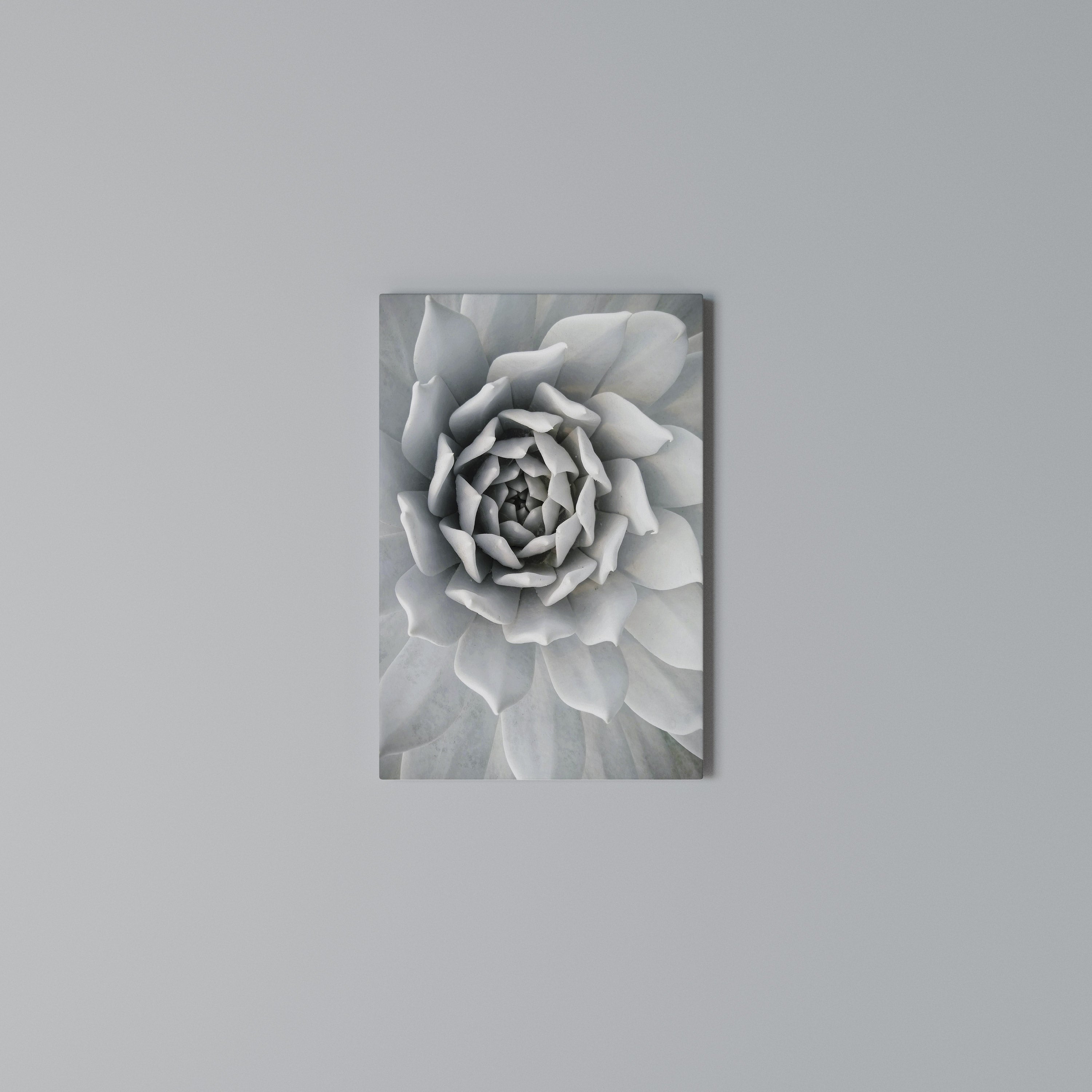 ELEGANT PETAL SWIRL Pionowy obraz na płótnie