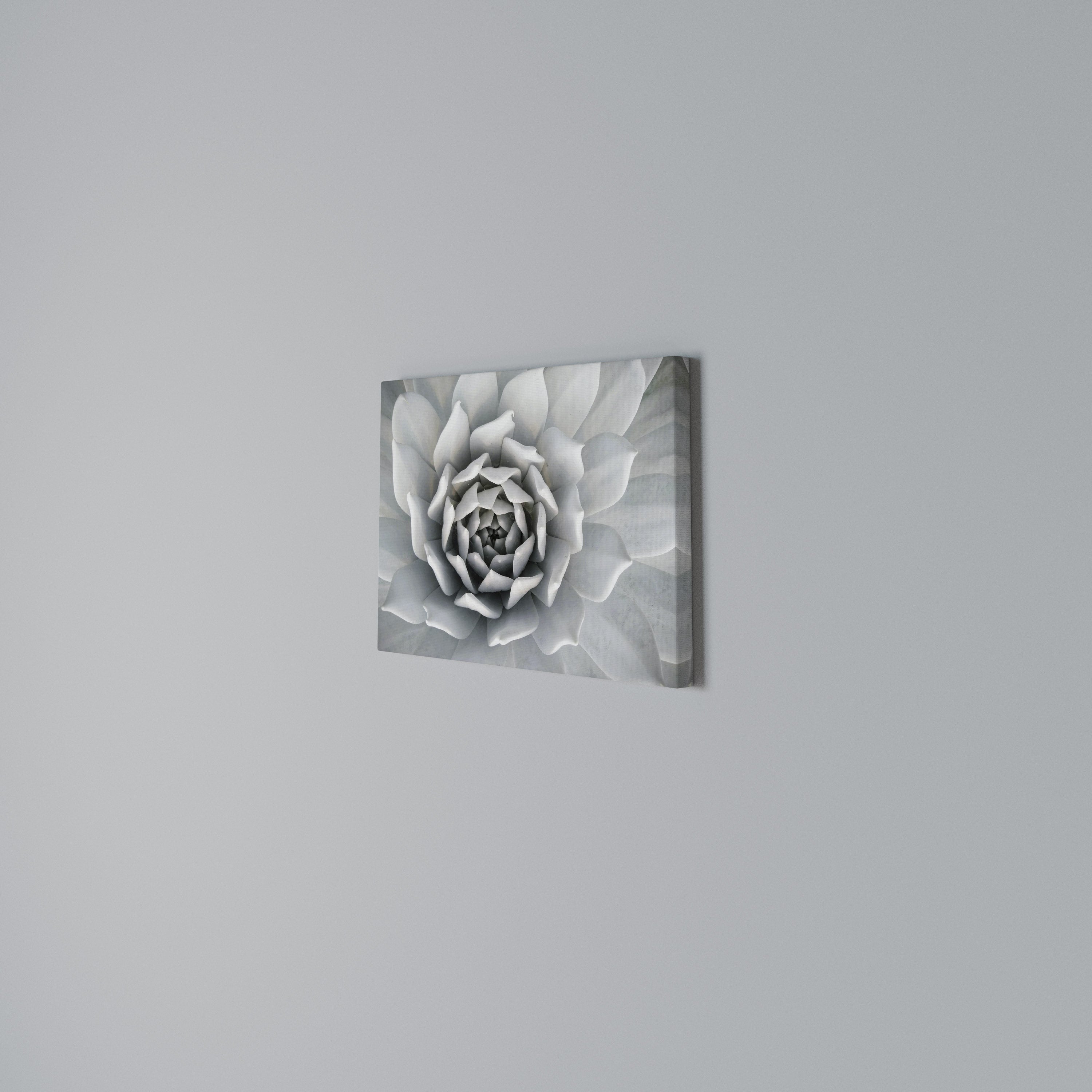ELEGANT PETAL SWIRL Poziomy obraz na płótnie