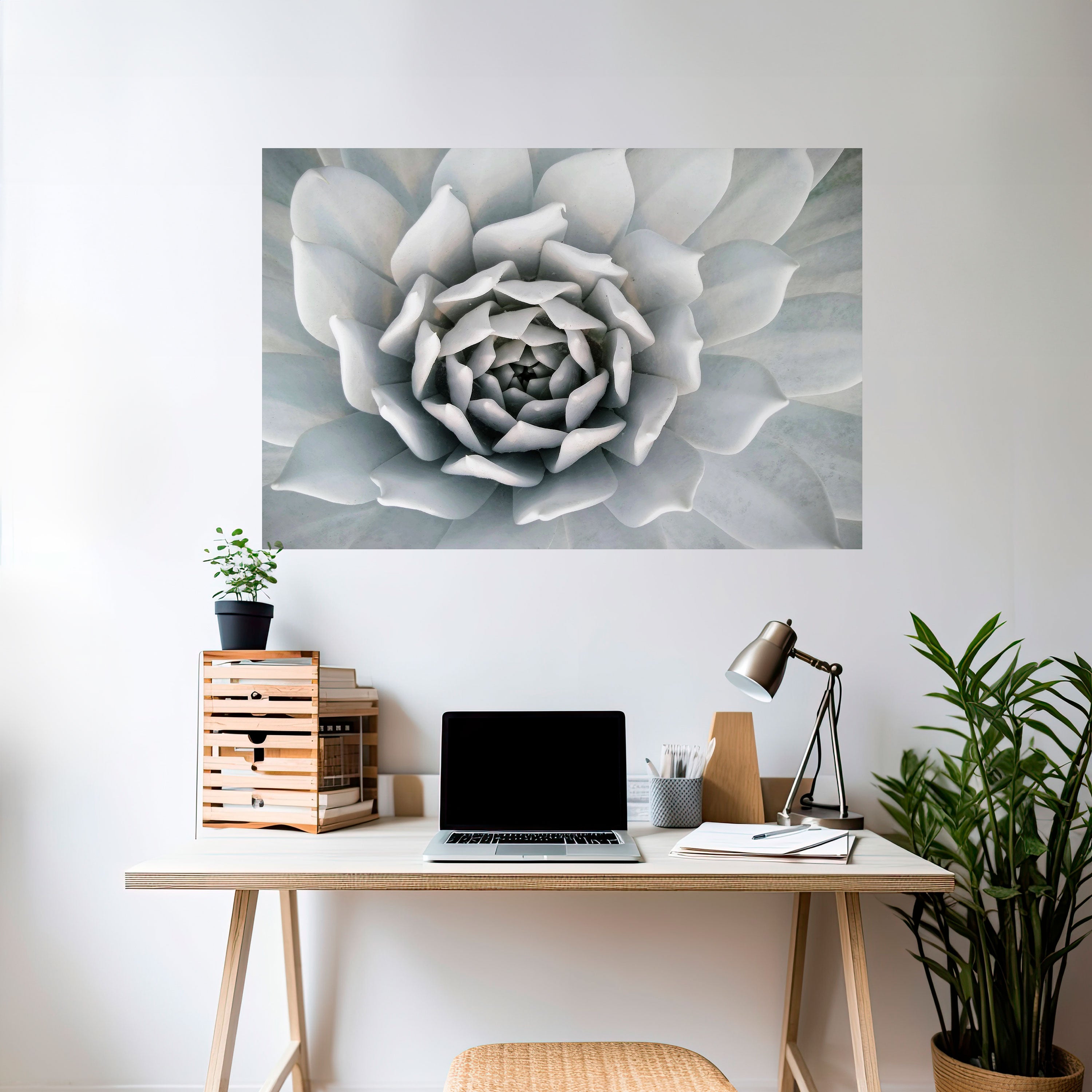 ELEGANT PETAL SWIRL Naklejka/Plakat poziomy