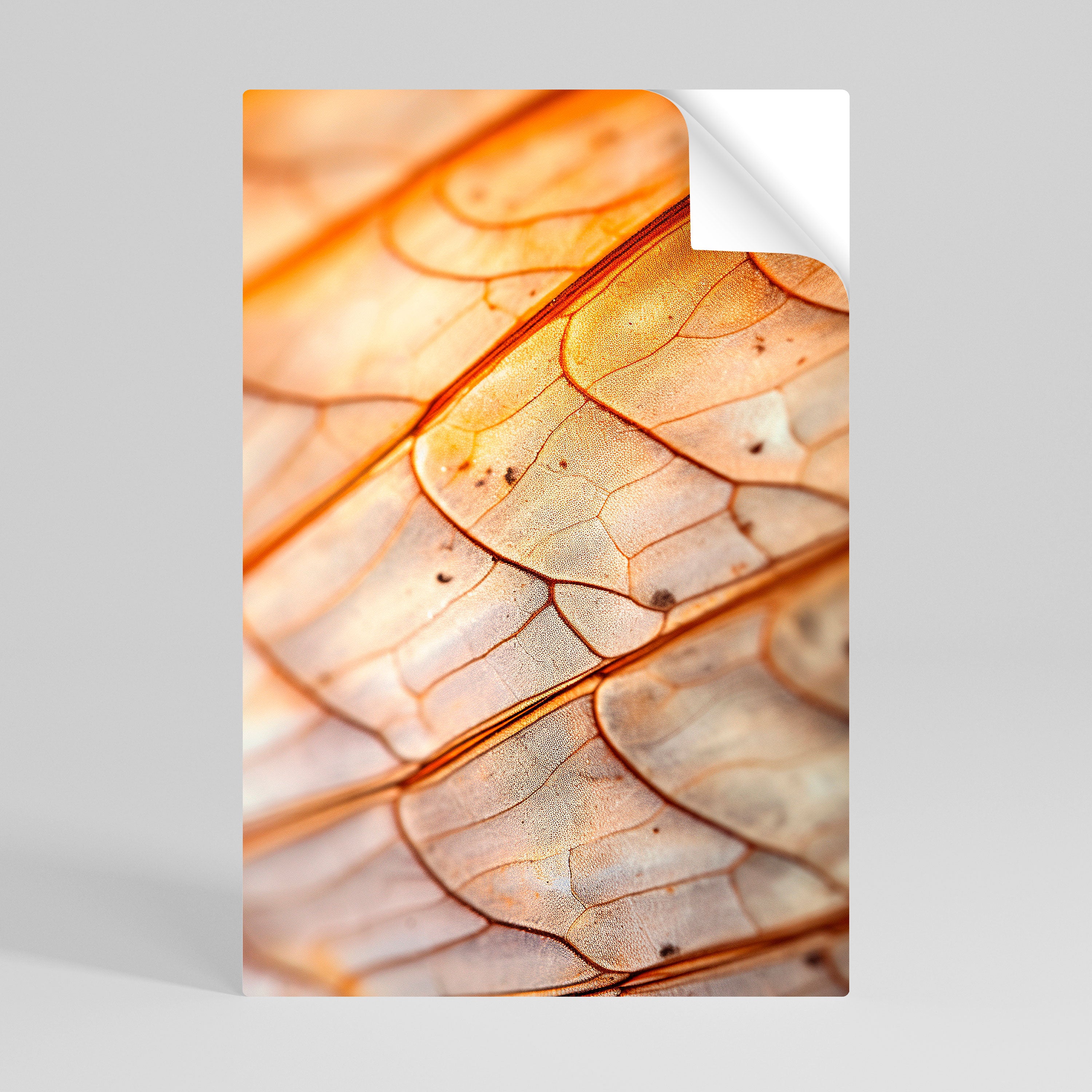ELEGANT VEINING Naklejka/Plakat pionowy