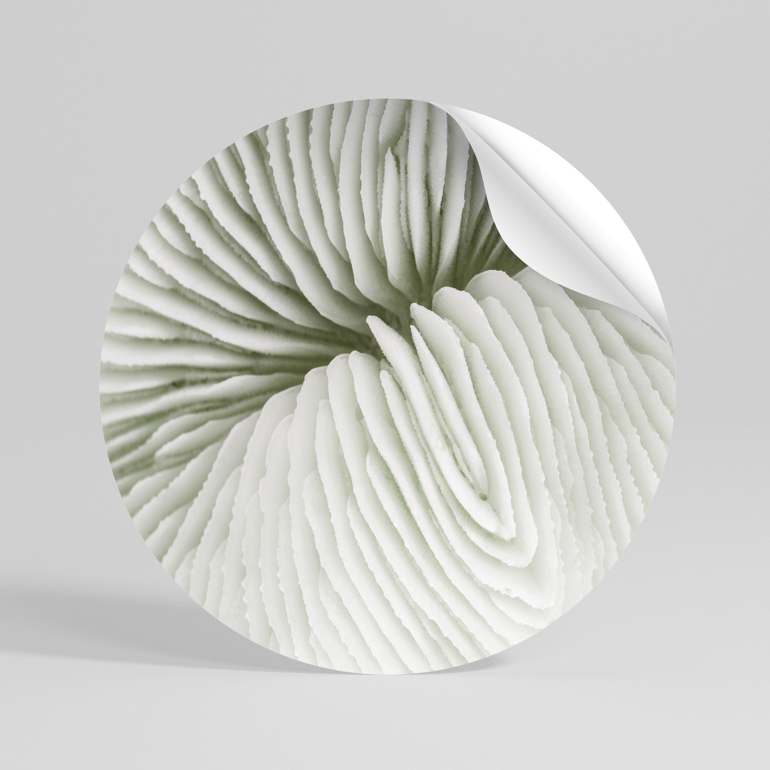 NATURE'S SYMMETRY Naklejka - okrągła