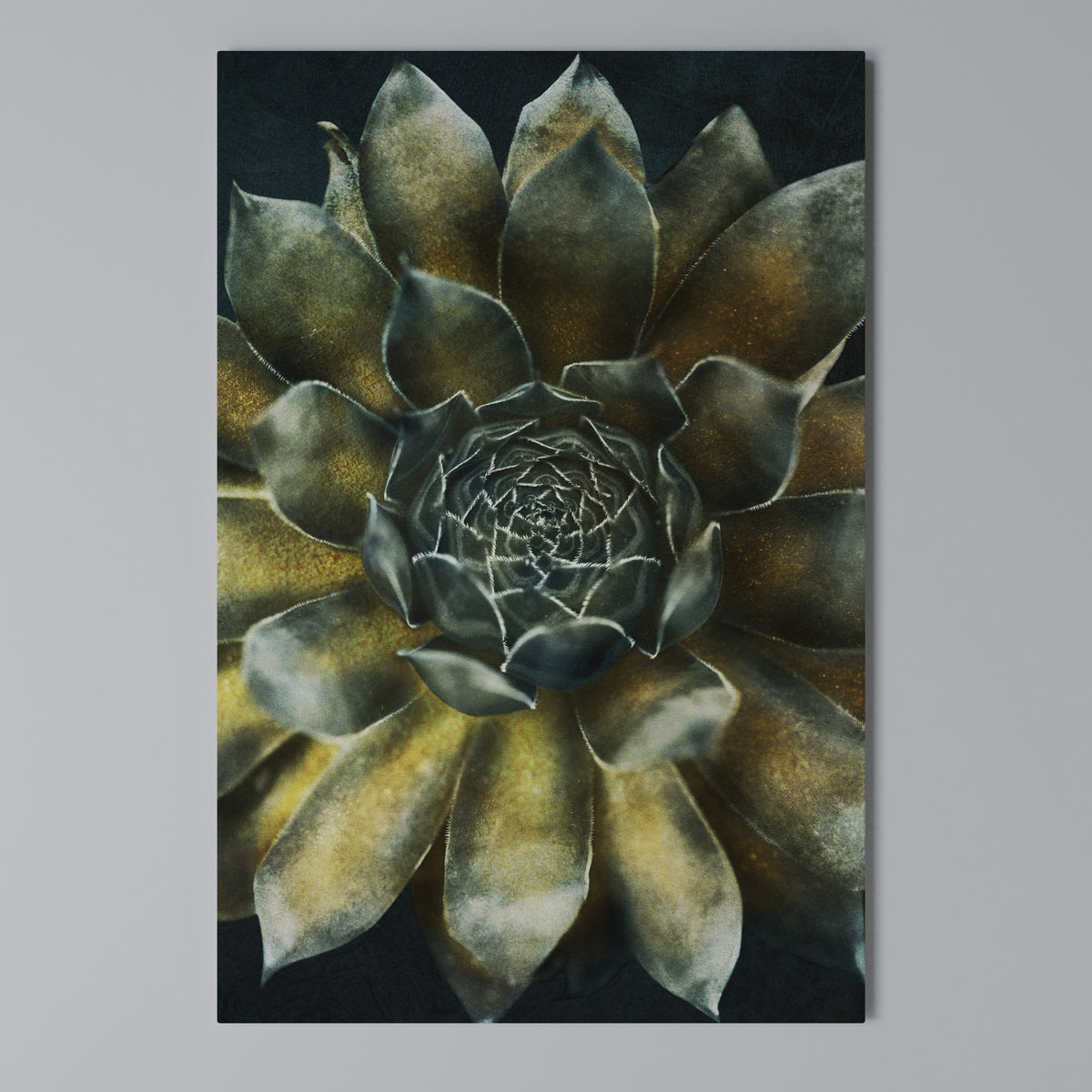 MYSTICAL SUCCULENT WHIRL Pionowy obraz na płótnie