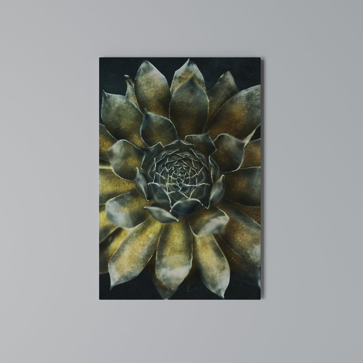 MYSTICAL SUCCULENT WHIRL Pionowy obraz na płótnie