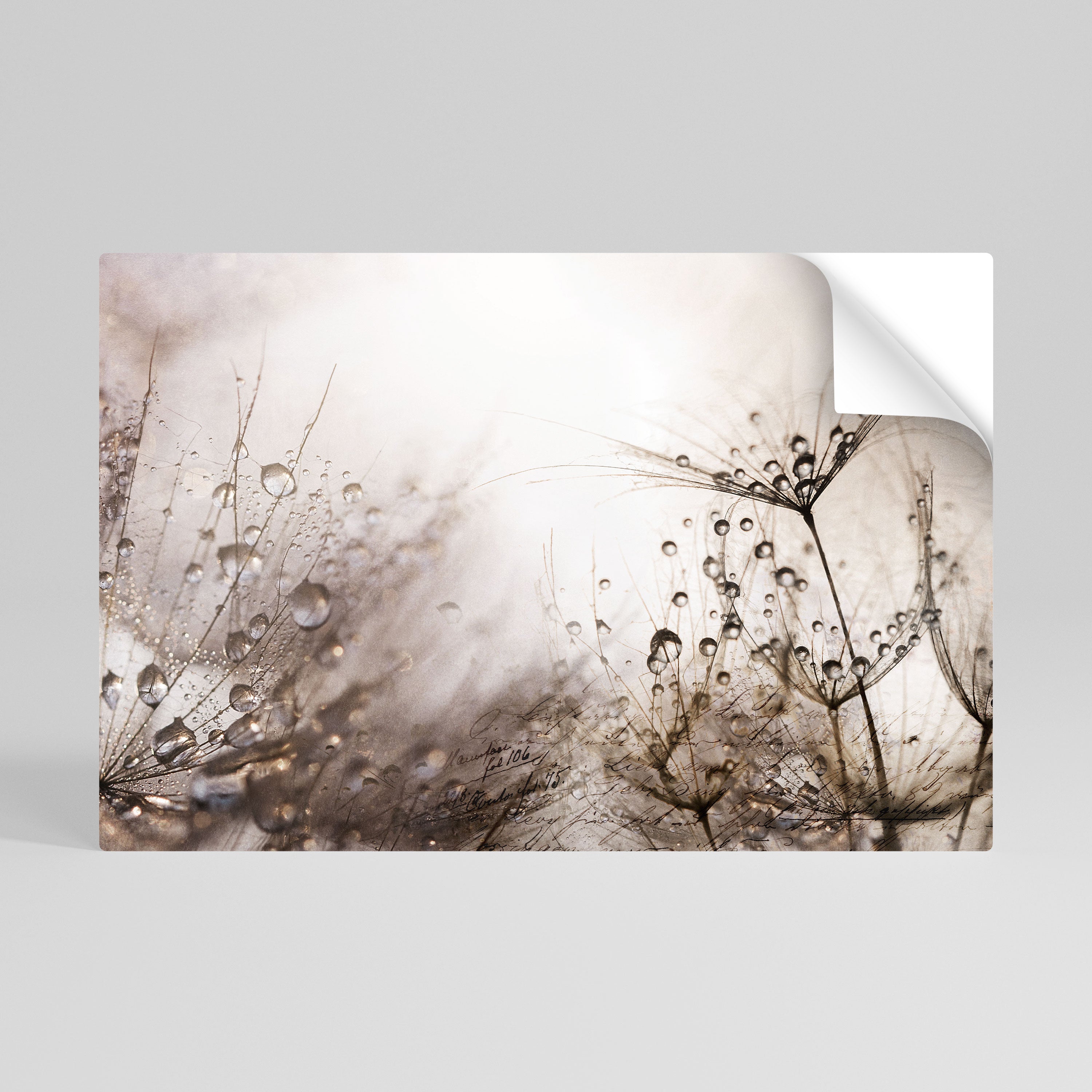 FLEETING DAWN Naklejka/Plakat poziomy