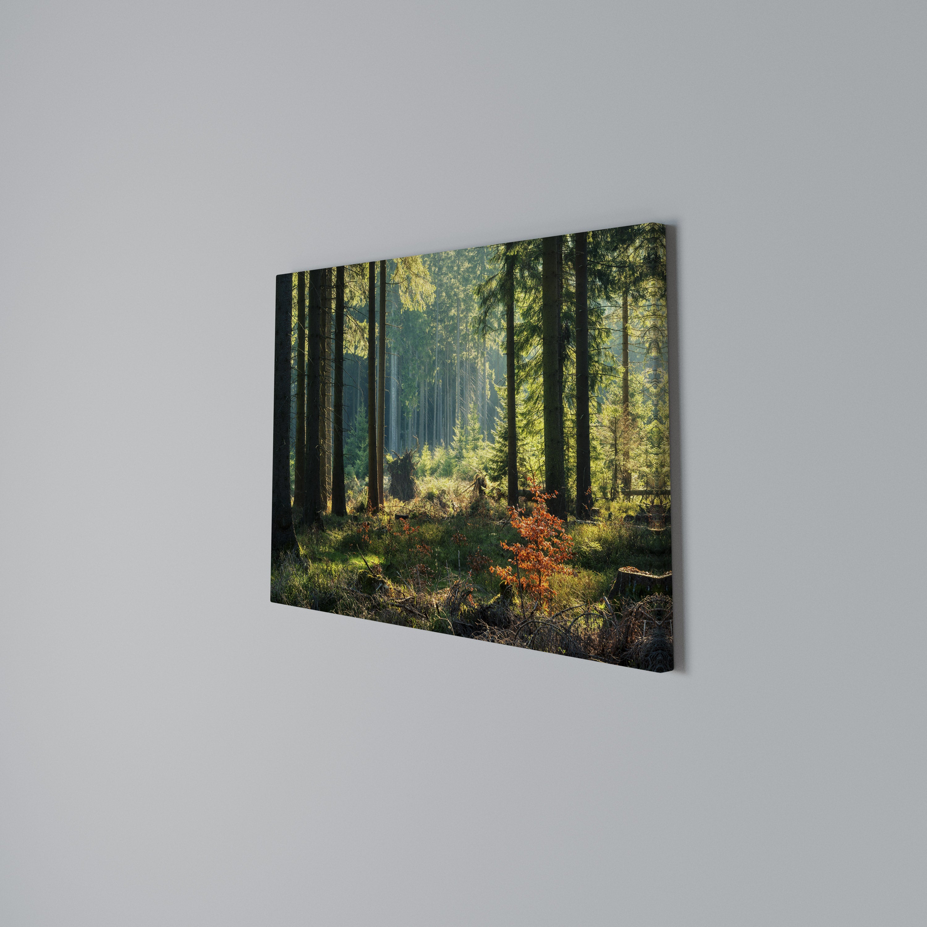 SUNLIT FOREST SERENADE Poziomy obraz na płótnie