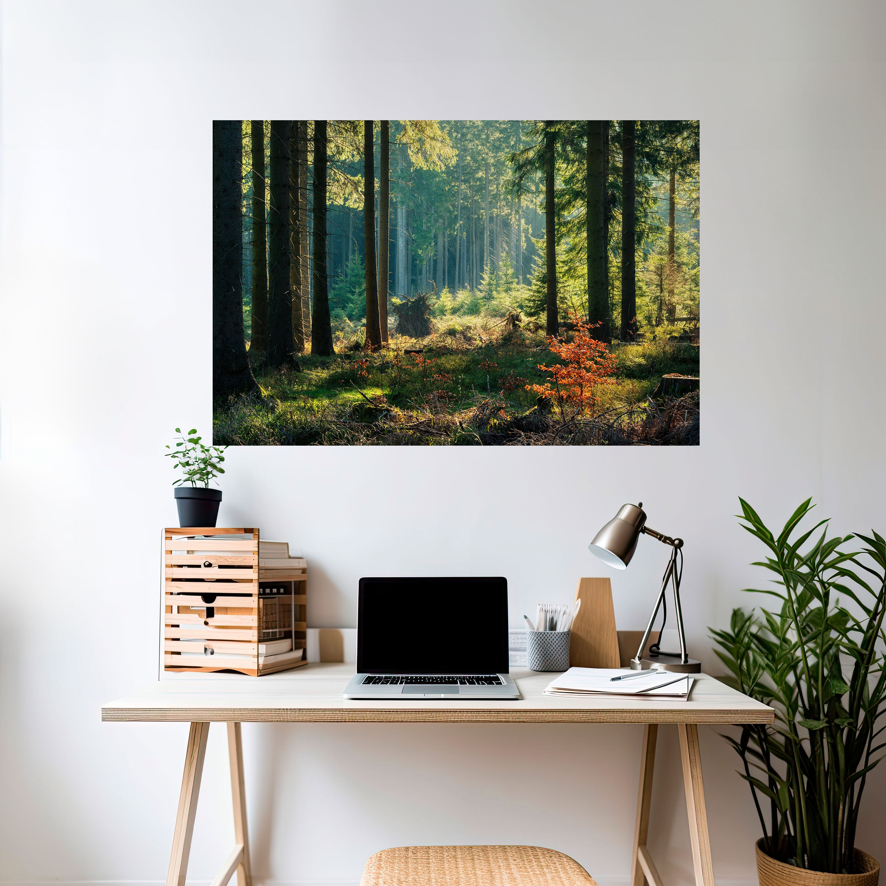 SUNLIT FOREST SERENADE Naklejka/Plakat poziomy