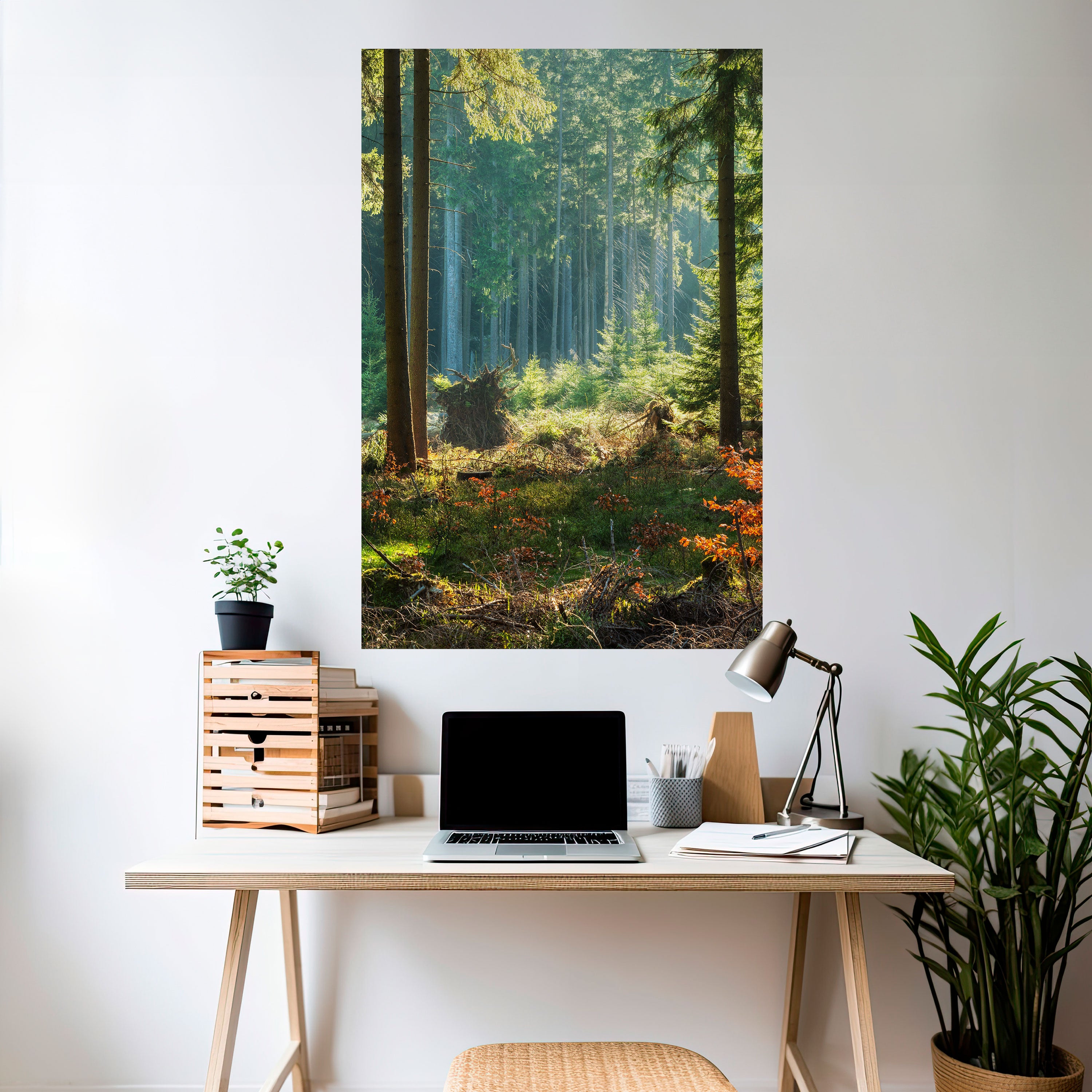 SUNLIT FOREST SERENADE Naklejka/Plakat pionowy