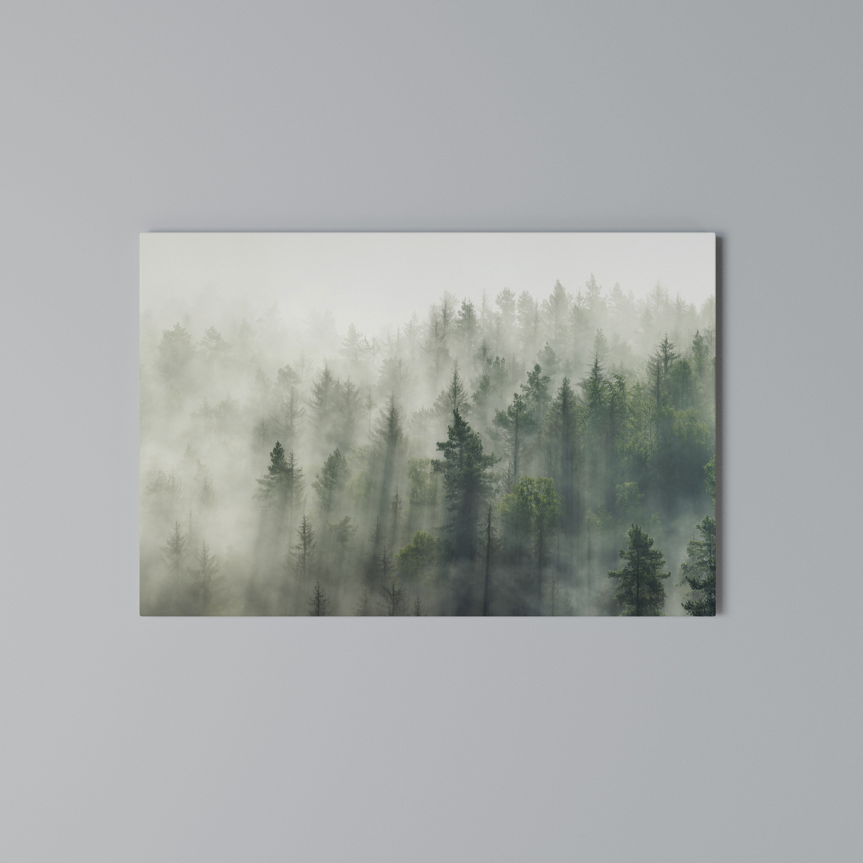 MISTY FOREST Poziomy obraz na płótnie