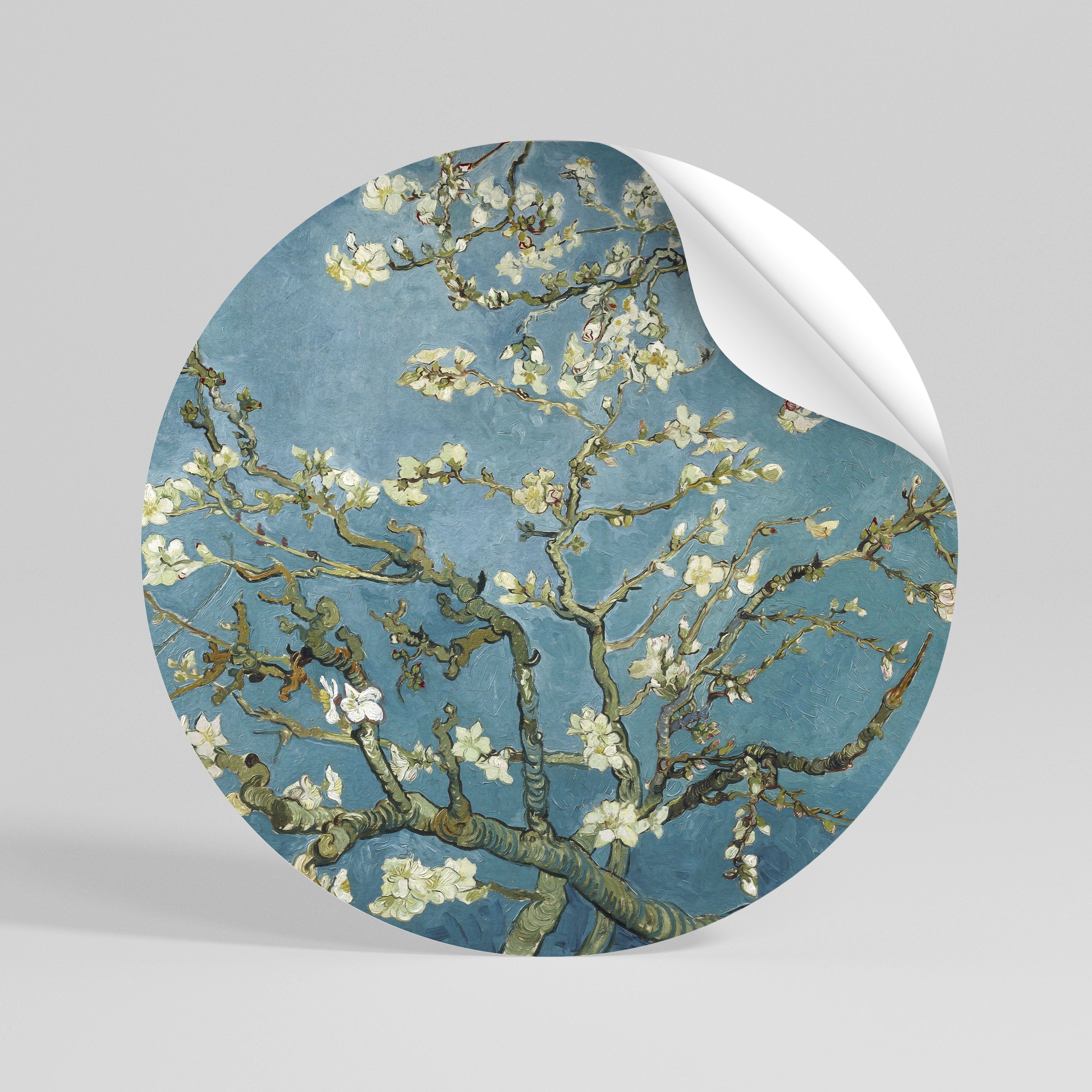 ALMOND BLOSSOM Naklejka - okrągła