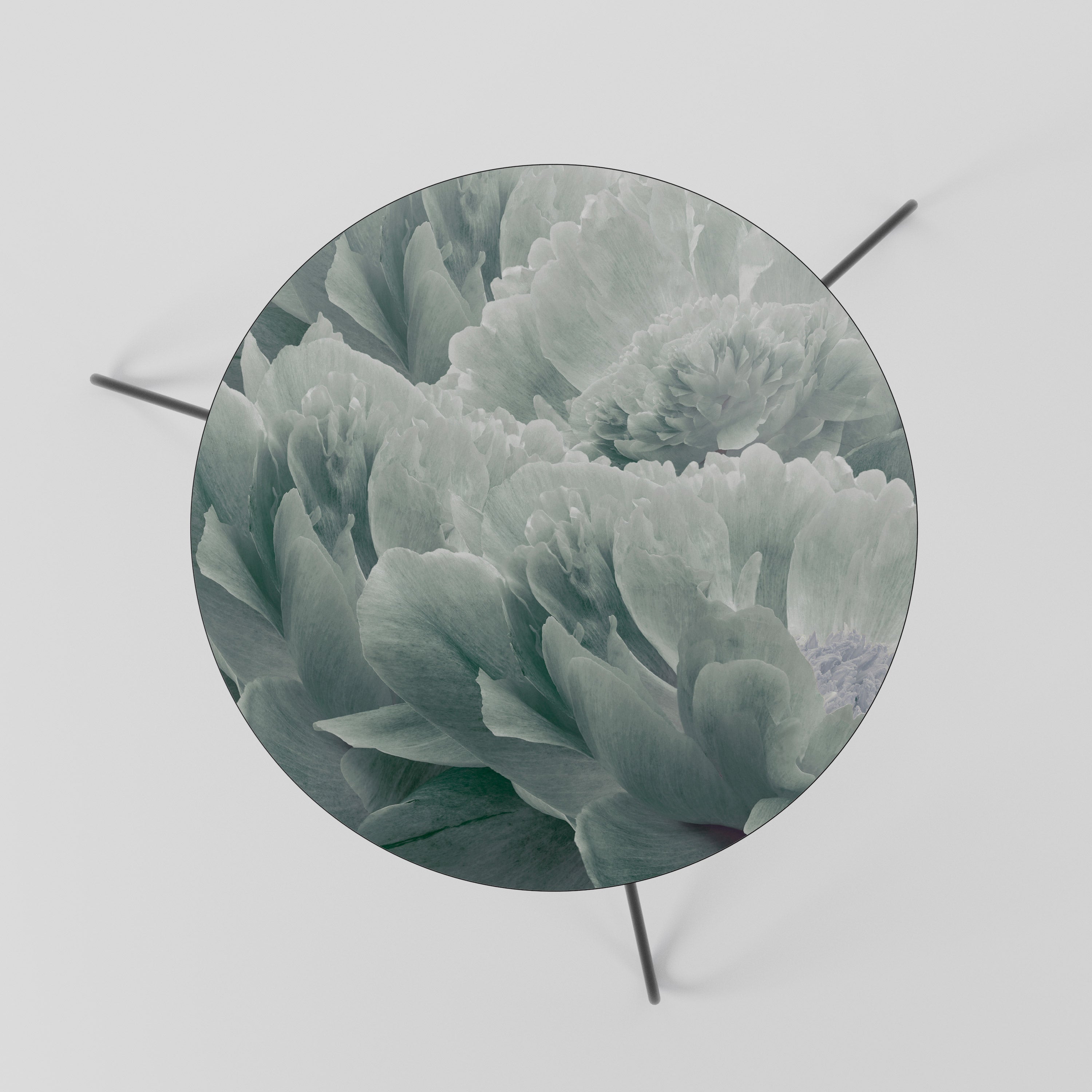 TREE PEONIES Stolik kawowy mały
