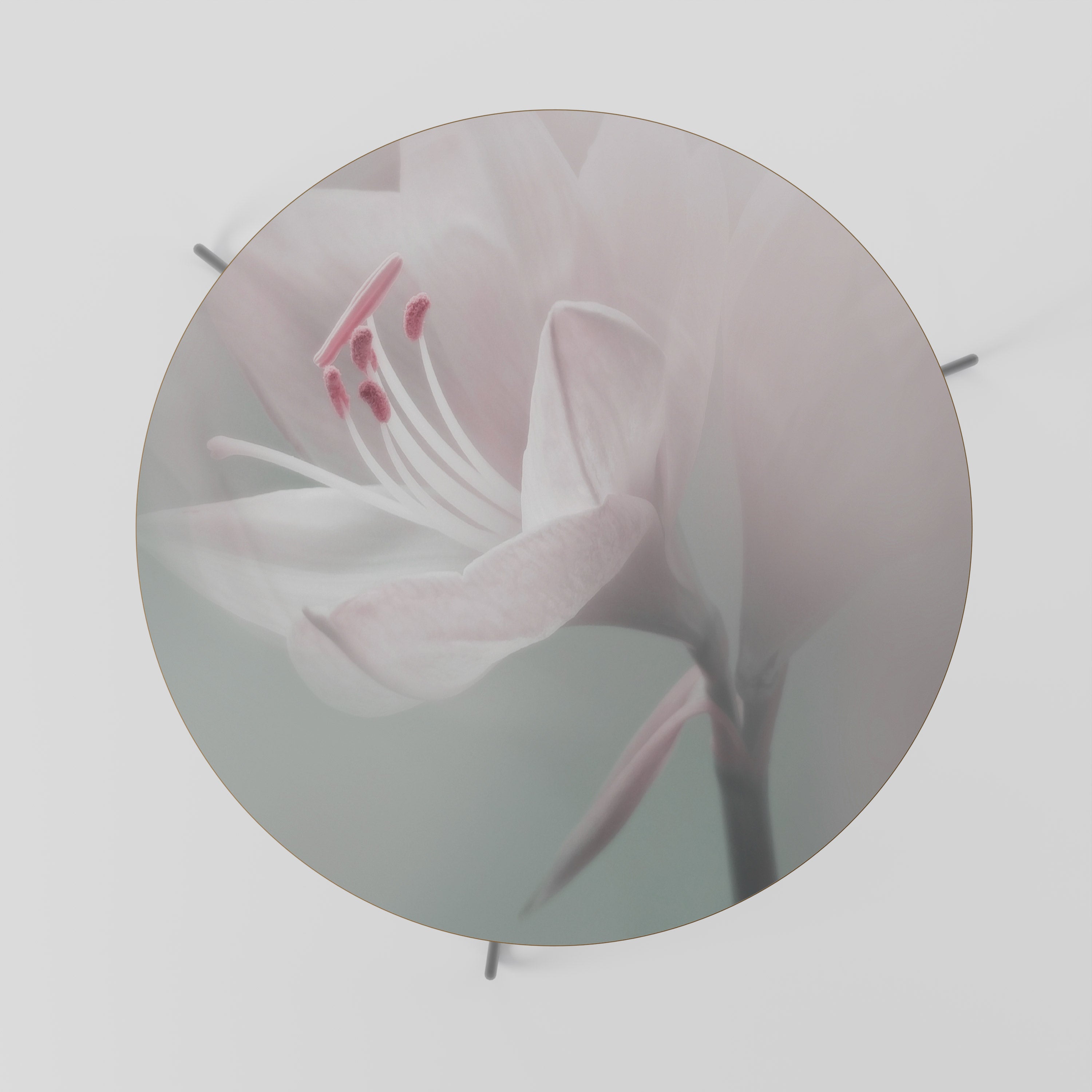 GENTLE LILY Stolik kawowy duży